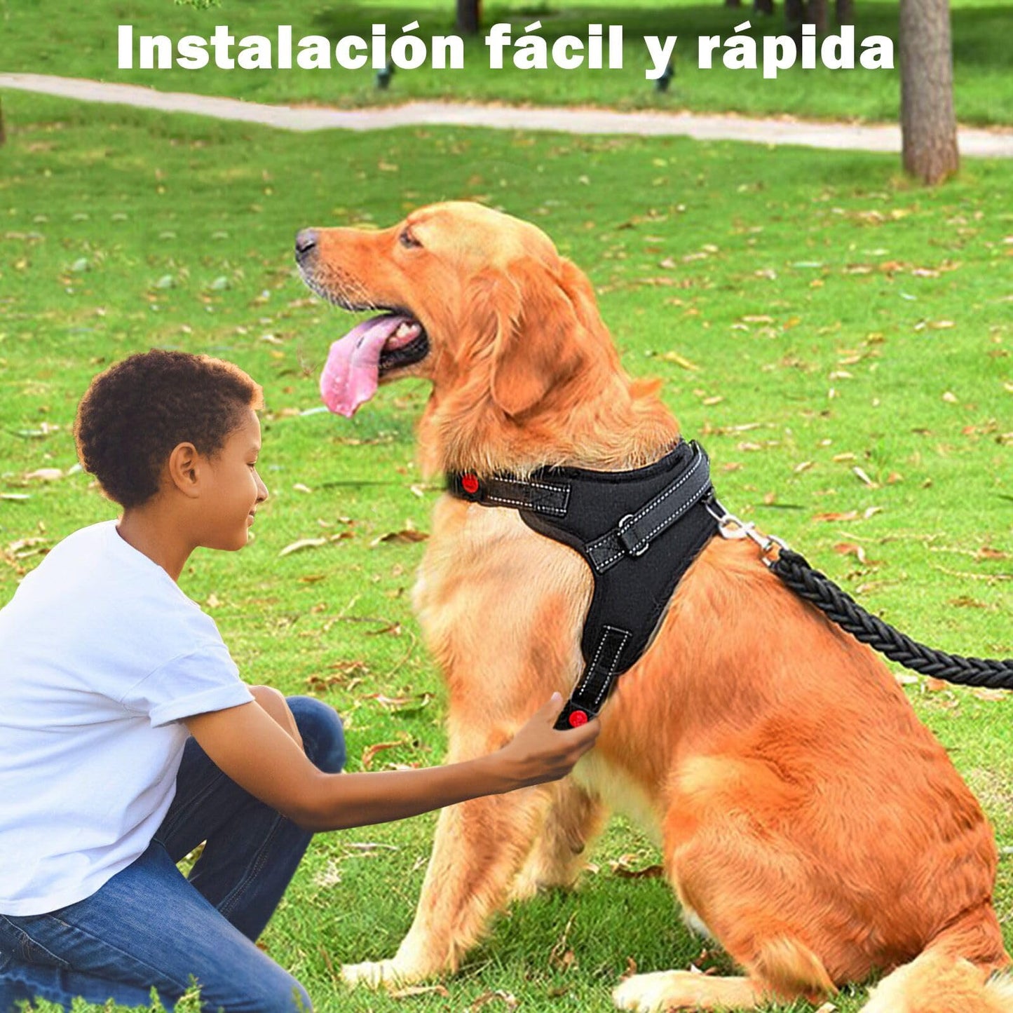 Jasonwell Collar para Perro - Pequeño Mediano Grande Pechera para Perro con Correa y Mango de Control Harnes Ajustable Reflectante Transpirable para Caminar Viajar Entrenar (Negro, S)