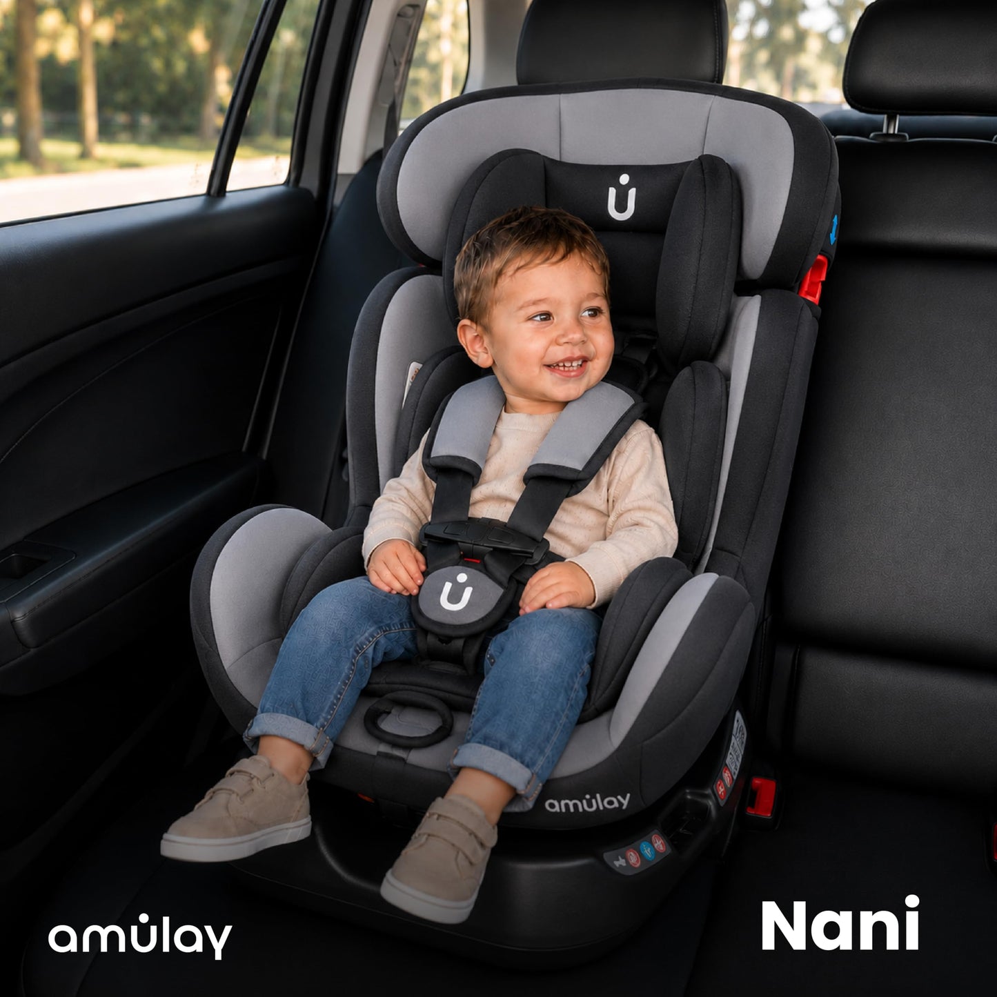 Amulay Autoasiento Nani Convertible 3 en 1, 0 a 25 kg, Gris y Negro