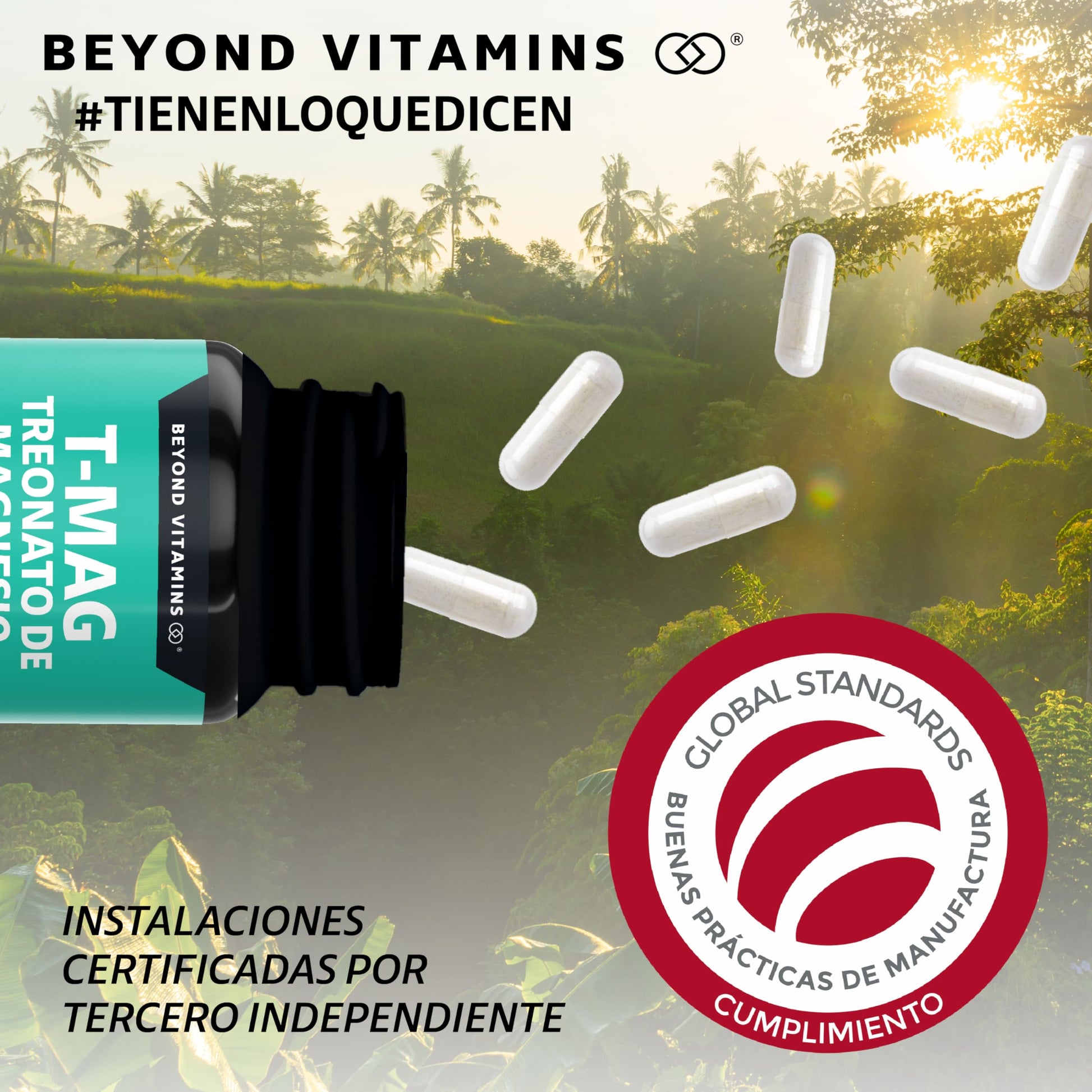 Suplemento Alimenticio Vegano Beyond Vitamins Magnesio L-Treonato Alta Absorción 60 Cápsulas