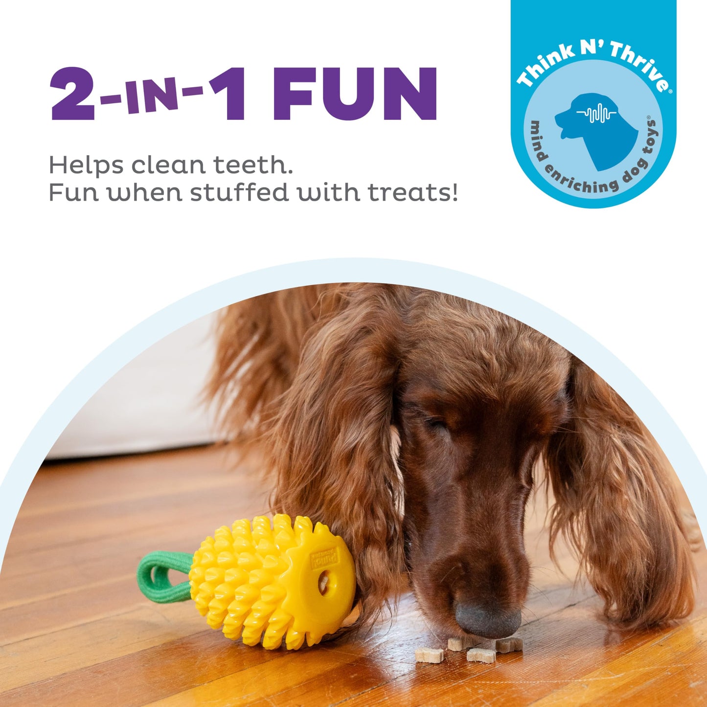 Juguete Dental Outward Hound Amarillo con Piña y Relleno Interactivo para Perro
