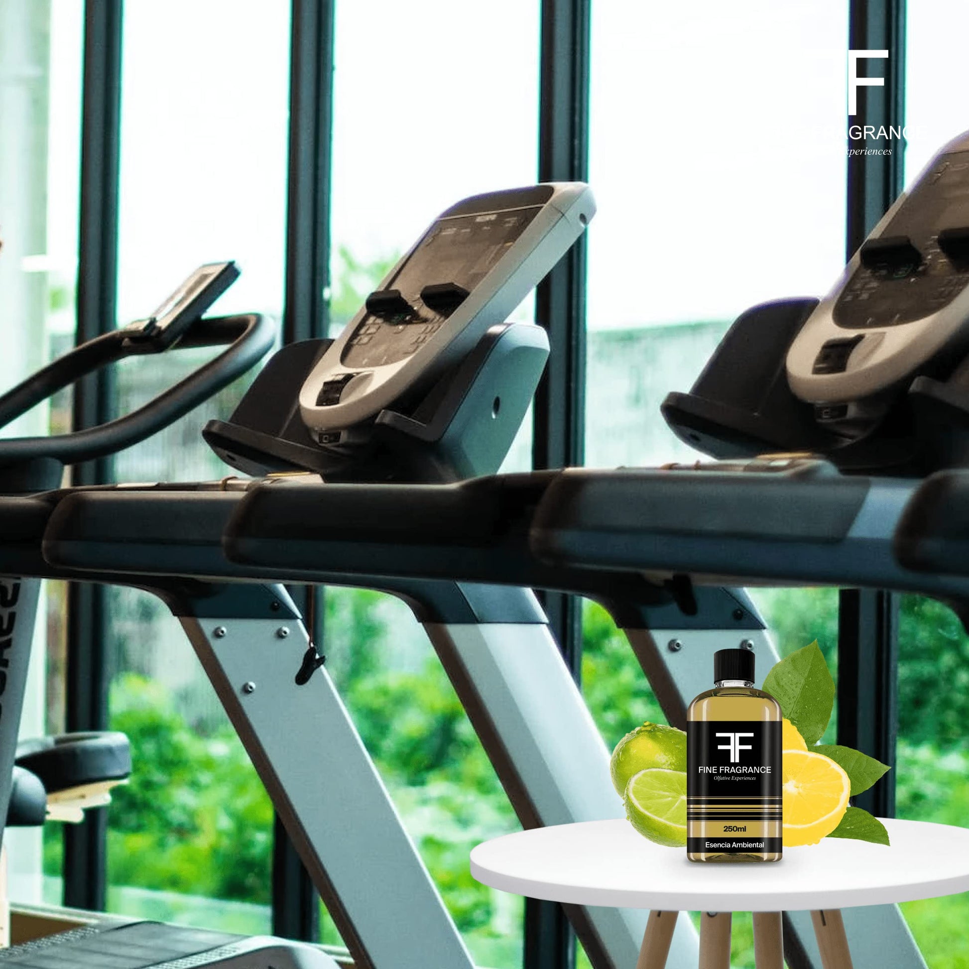 Fine Fragrance, Esencia para difusor aroma Fresh Gym, 250ml, ultra concentrada para uso exclusivo en difusores profesionales y aromaterapia