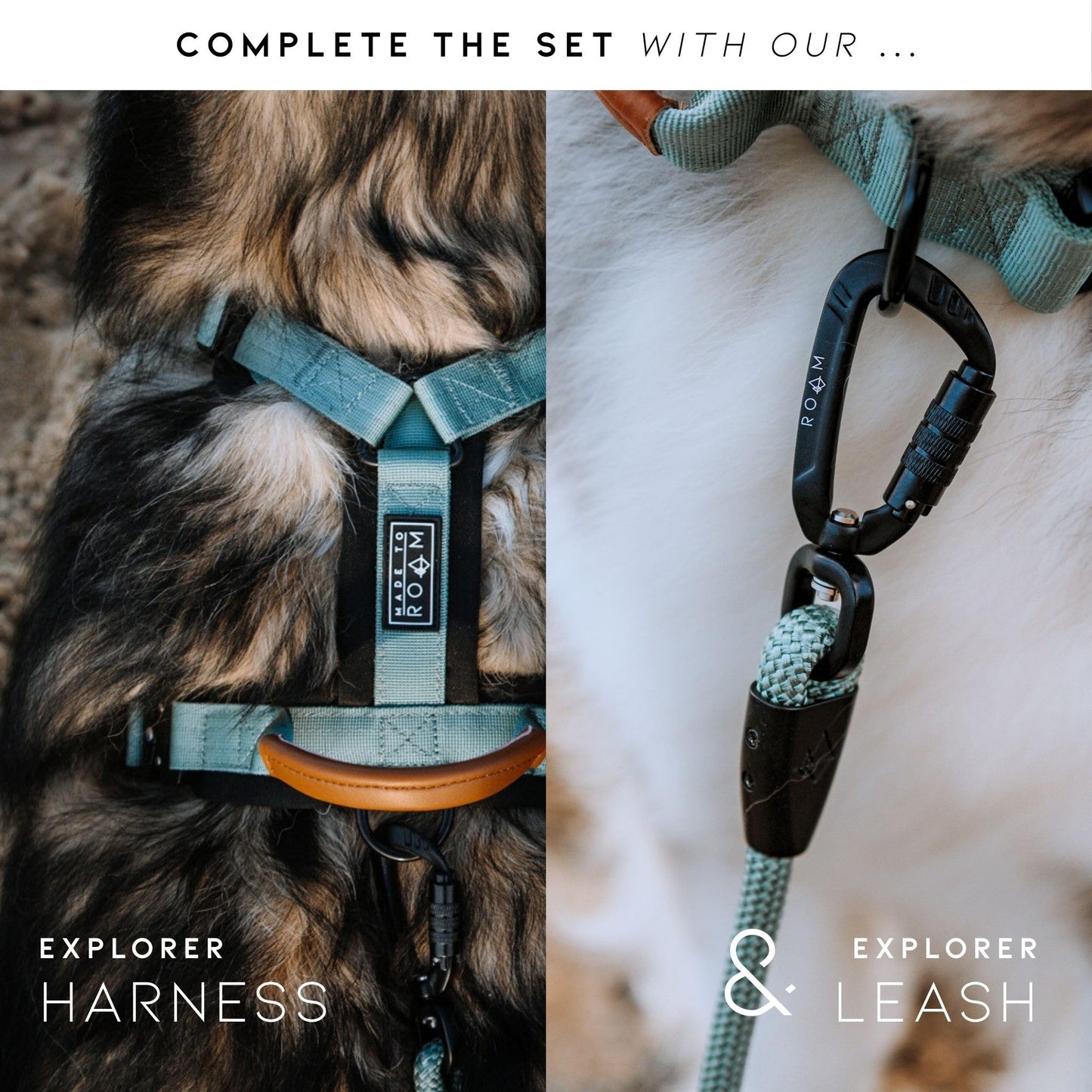 MADE TO ROAM Collar de Perro de Alta Calidad, Ajustable, de Nailon Resistente con Hebilla metálica de liberación rápida (Oregon Haze, Size 3)