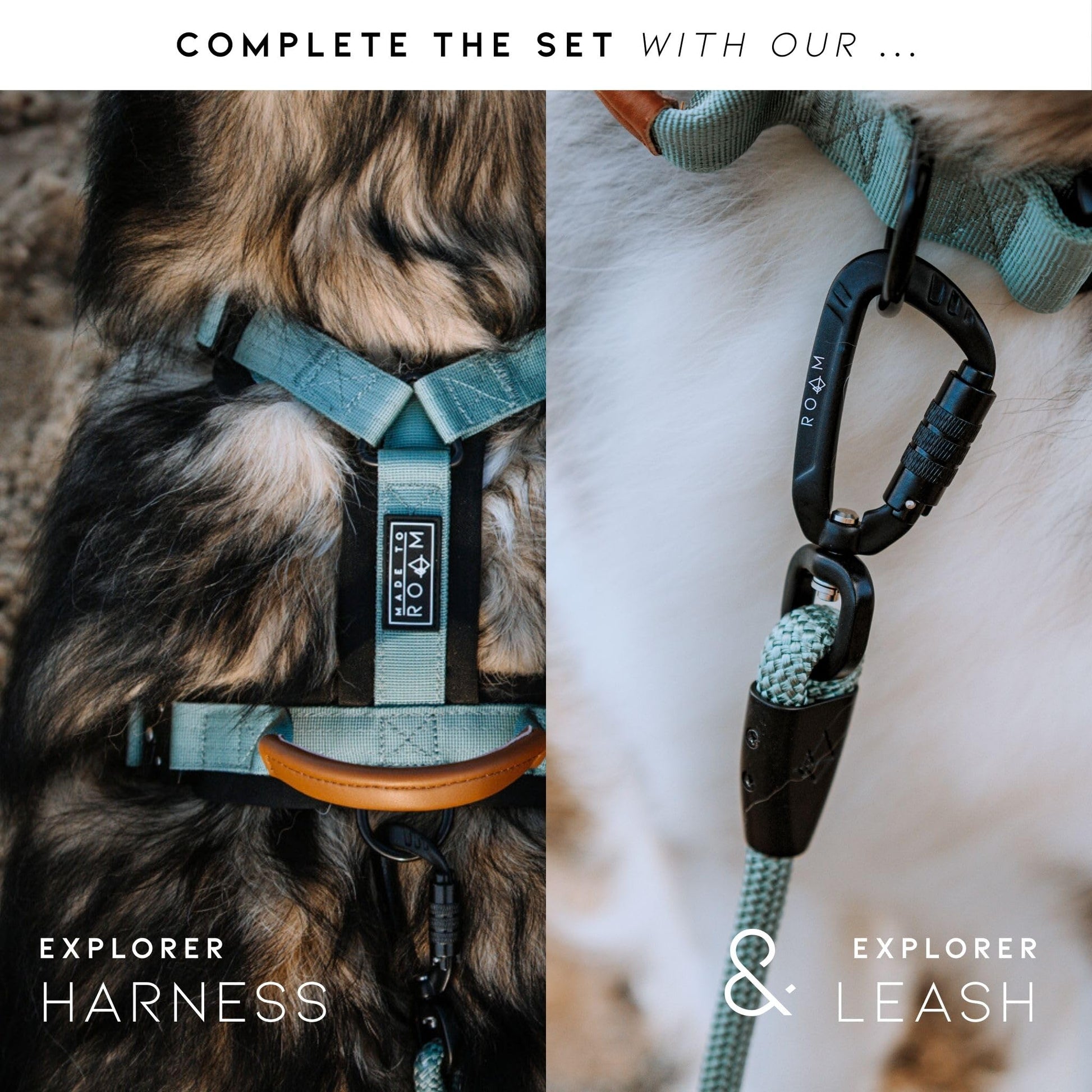 MADE TO ROAM Collar de Perro de Alta Calidad, Ajustable, de Nailon Resistente con Hebilla metálica de liberación rápida (Oregon Haze, Size 3)