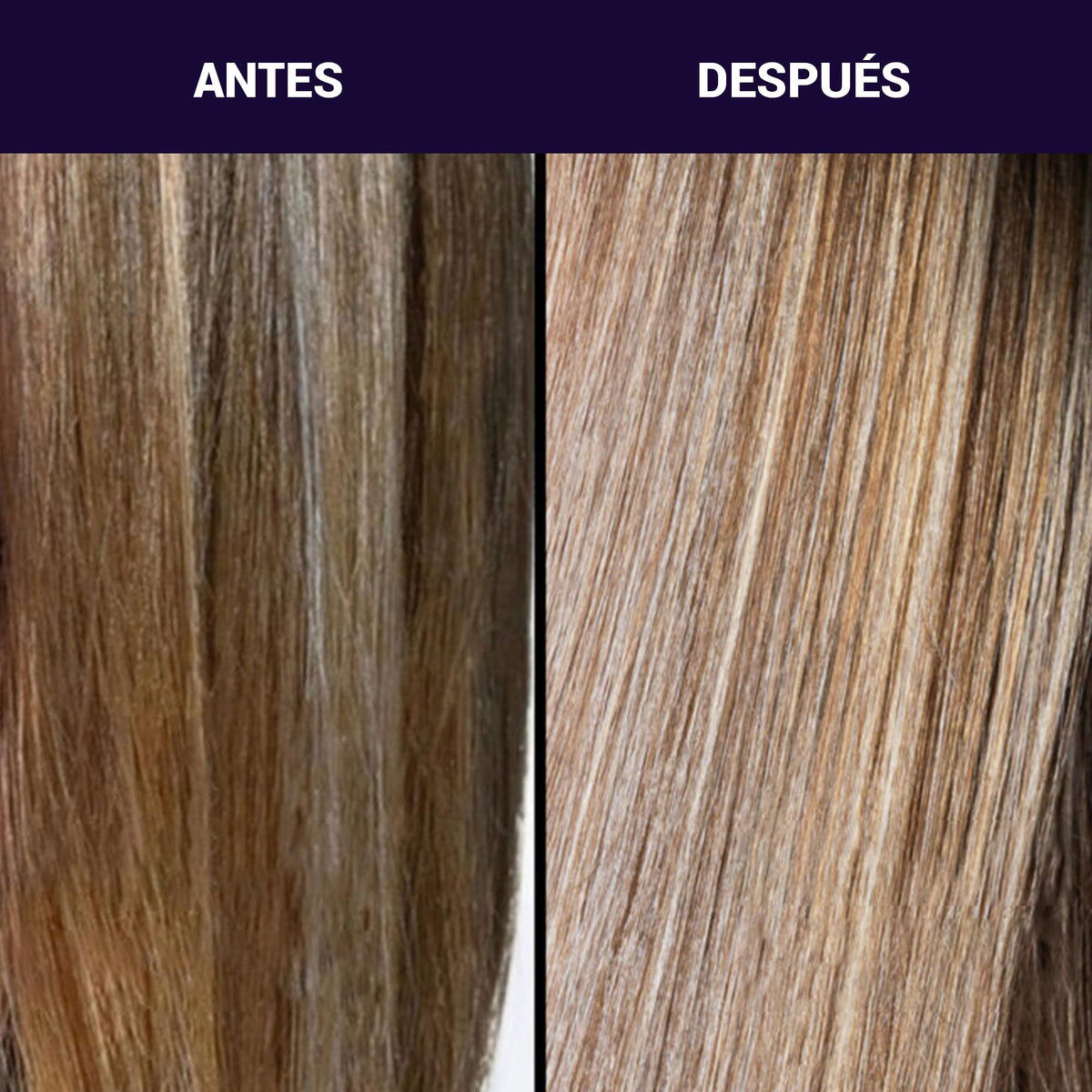 PRAVANA Perfect Blonde Acondicionador, Matiza y Nutre Cabello Rubio 300ml