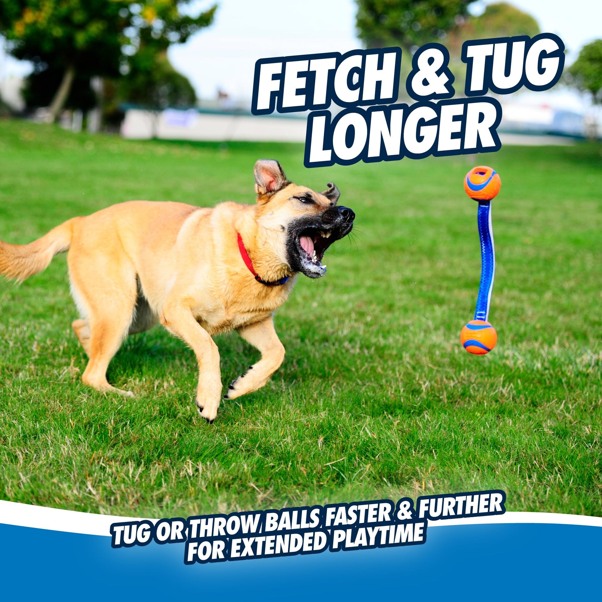 Chuckit! Ultra Duo Dog Tug Toy, Medium