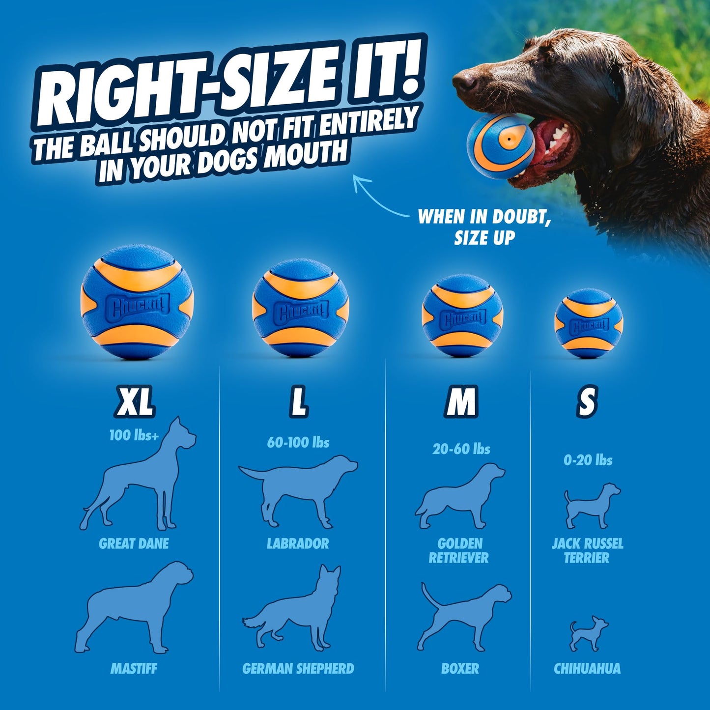 Chuckit! Ultra Squeaker Ball 47090 - Pelota para chirriar