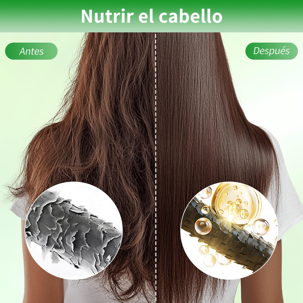 HNTCSR 2PCS Shampoo Romero,Champú de Aceite Battana de 300 ml para un Cabello Suave y con Volumen, Champú Anticaída Batana Repara el Cabello Seco y Dañado, Apto para Hombres y Mujeres