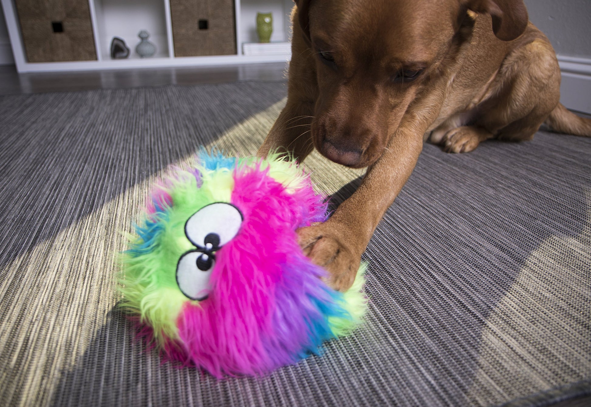 goDog Furballz - Pelota de Peluche chirriante para Perro, tecnología de protección masticable, Arco Iris, Grande