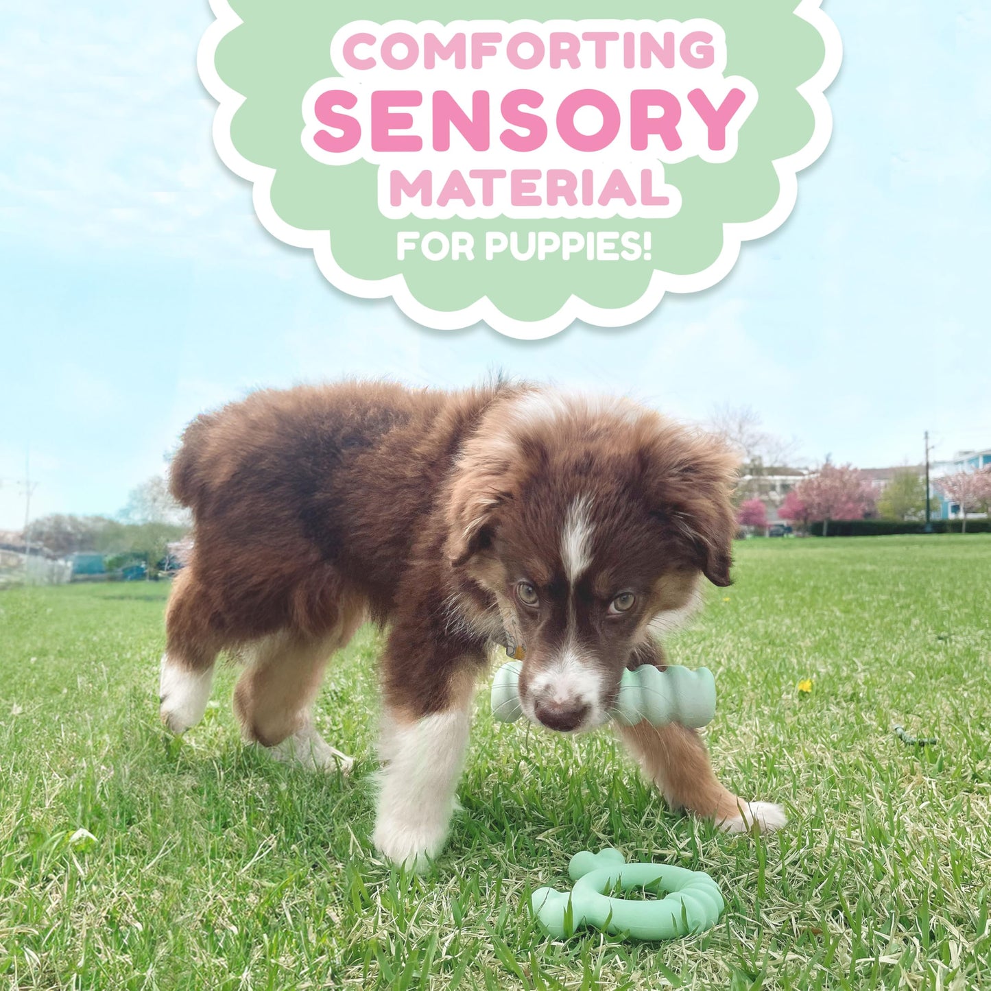 Juguete Sensory de Masticar Nylabone Mantequilla de Maní para Cachorros
