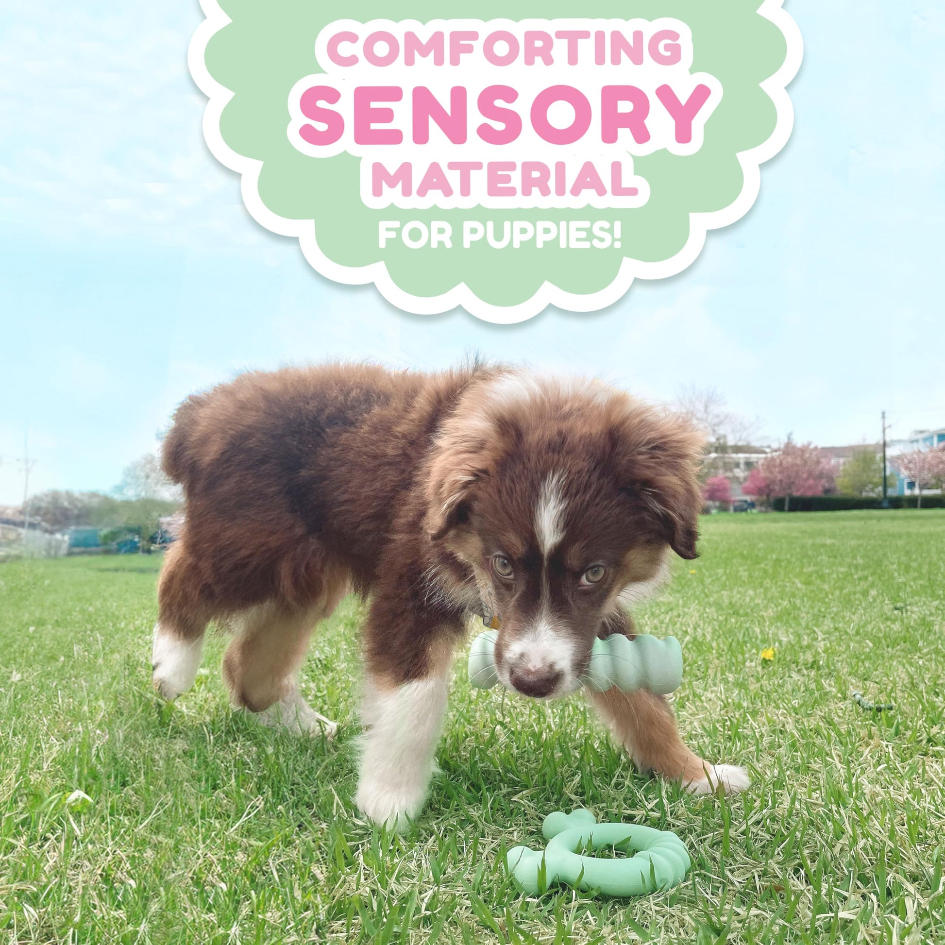 Juguete Sensory de Masticar Nylabone Mantequilla de Maní para Cachorros