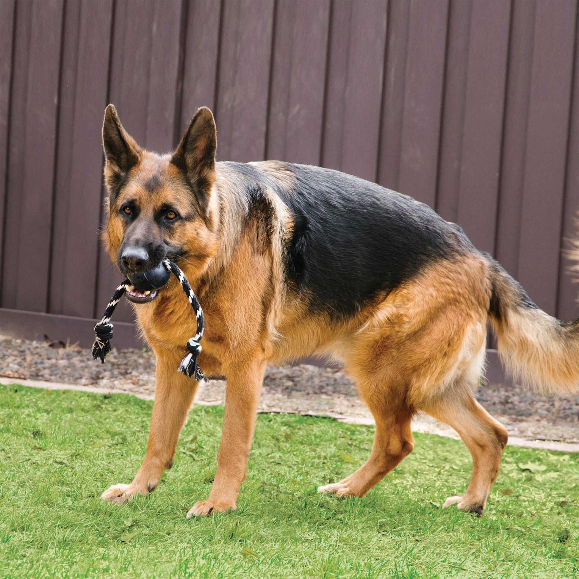 Pelota de Caucho Kong Negra Extreme con Cuerda para Perro