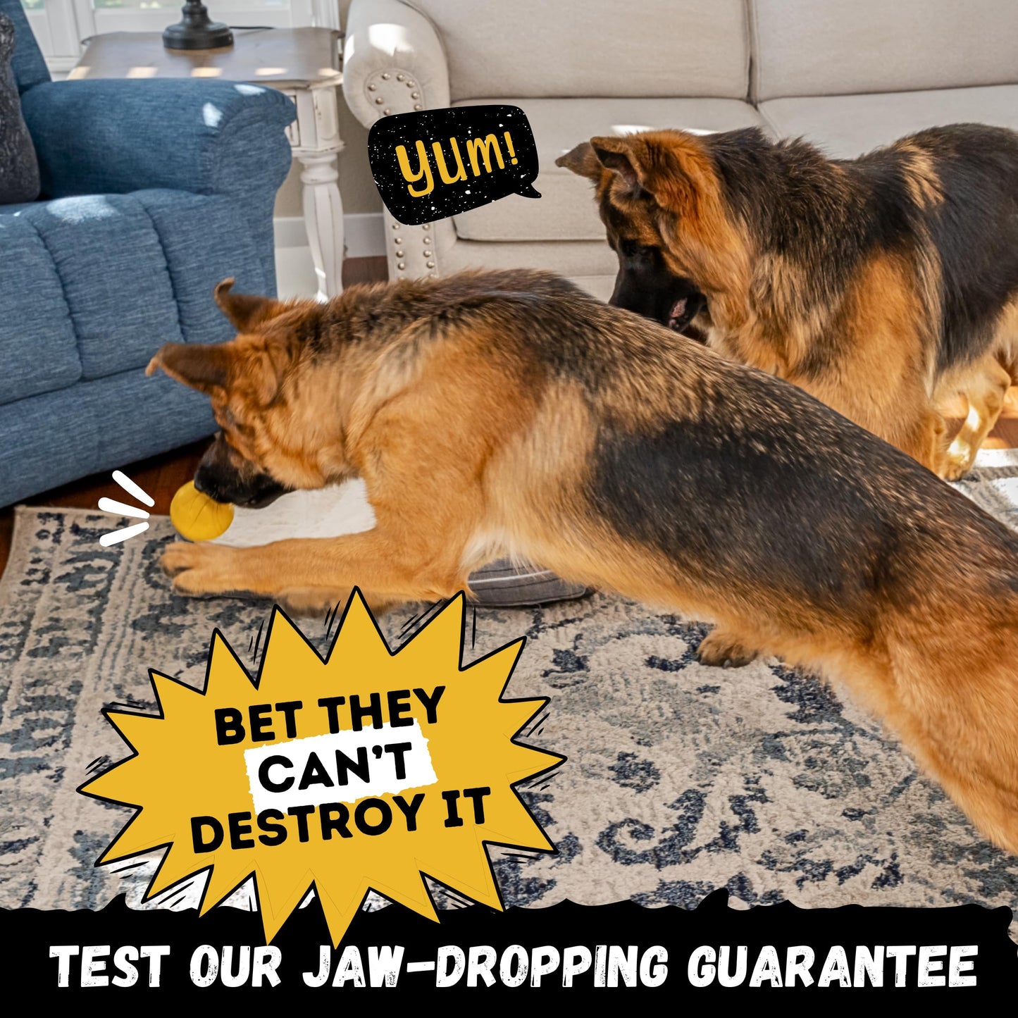 Juguete Masticable Resistente ChewChamp Hule Natural para Perros Medianos y Grandes