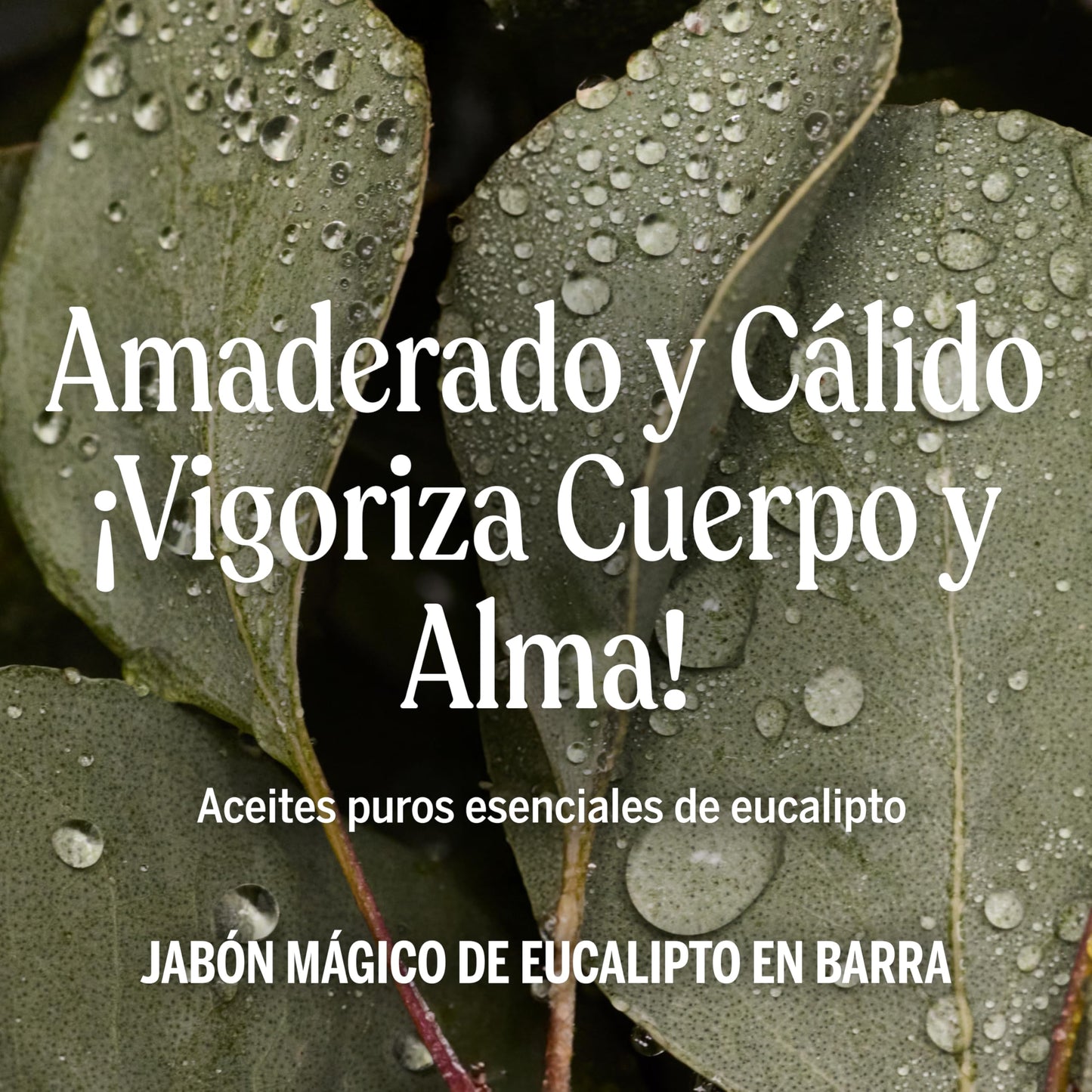Dr. Bronner's | Jabón de castilla orgánico en barra, fórmula concentrada, frescura herbal y respiración clara, con aceite esencial de Eucalipto, aroma Eucalipto (3 pack)