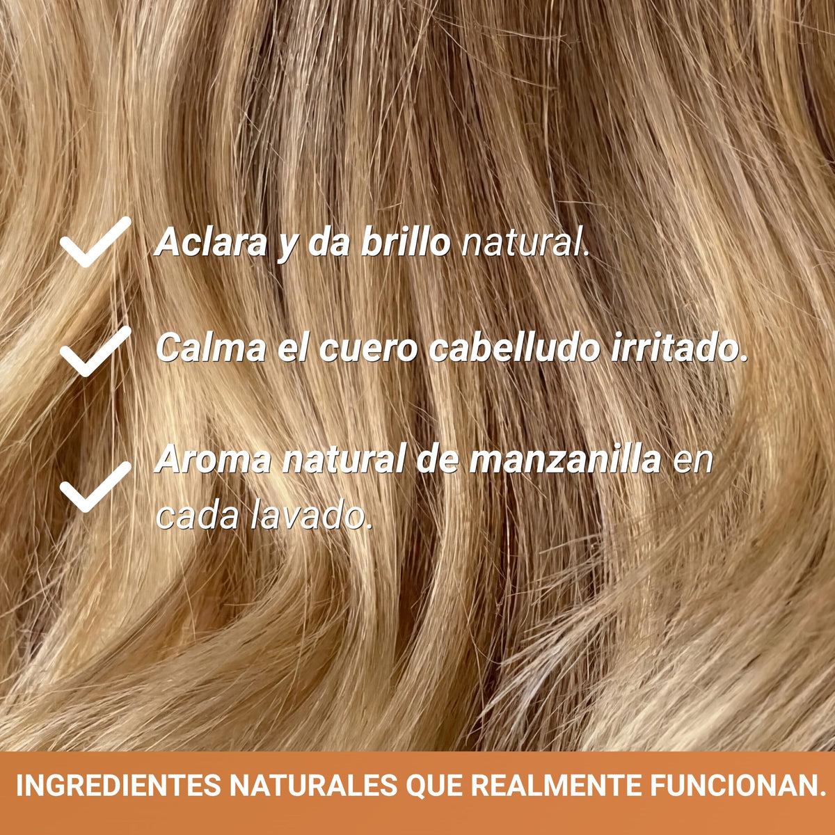 Avaloria Shampoo de Manzanilla Sin Sulfatos, Parabenos ni Sales – para Brillo y Anticaída – Extracto 100% Natural con 10 Hierbas – Hidratación, Brillo y Crecimiento – Herbal - 480 ml