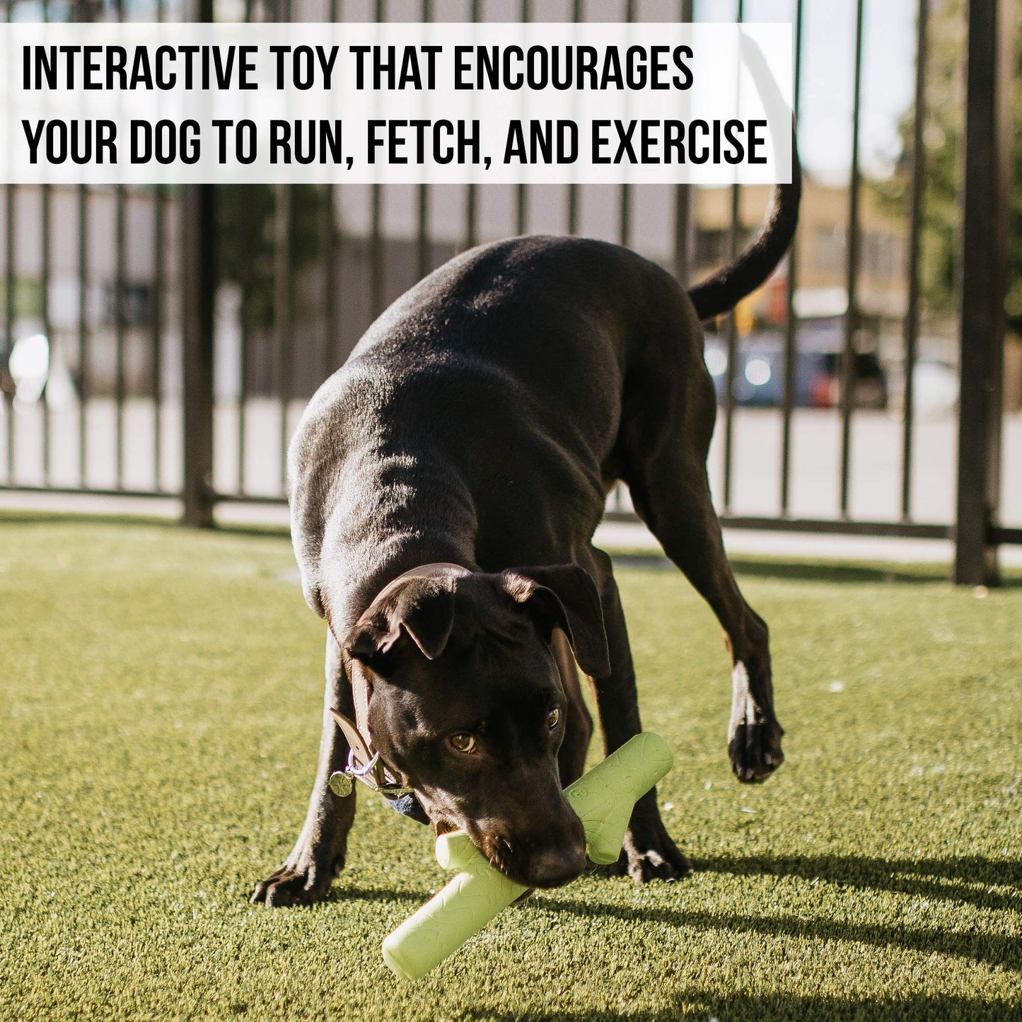 Hyper Pet Chewz juguetes para perros grandes (pelota de perro, hueso de perro y perro Stick perro masticar) [ligero, resistente espuma EVA juguete para perro es seguro en los dientes, fácil de limpiar, y flota en el agua para juego interactivo], verde, ta