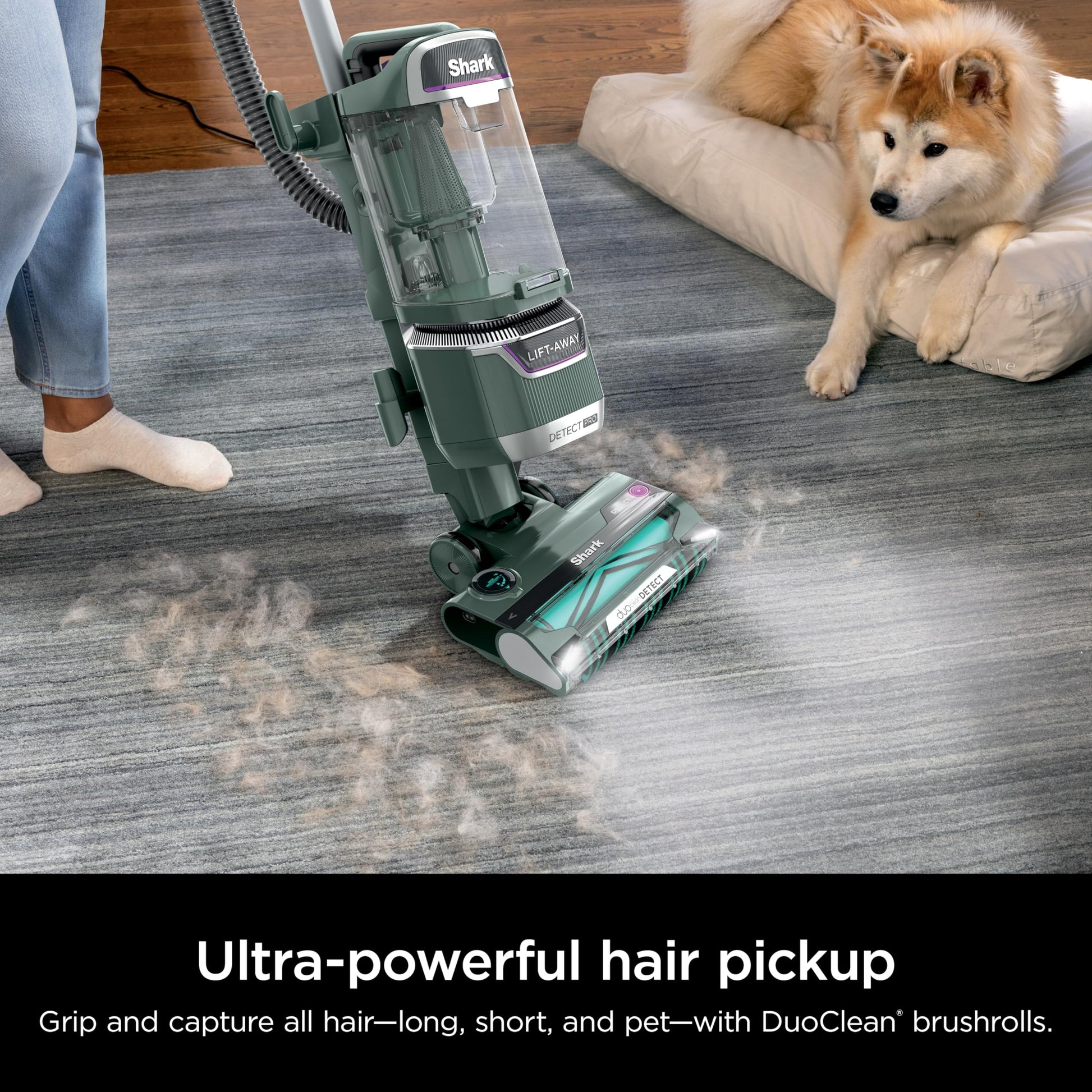 Shark Detect Pro Lift-Away ADV Aspiradora Vertical sin Bolsa con DuoClean Detect, Filtro HEPA, antialérgenos, Potente succión y tecnología neutralizadora de olores, Evergreen, LA802