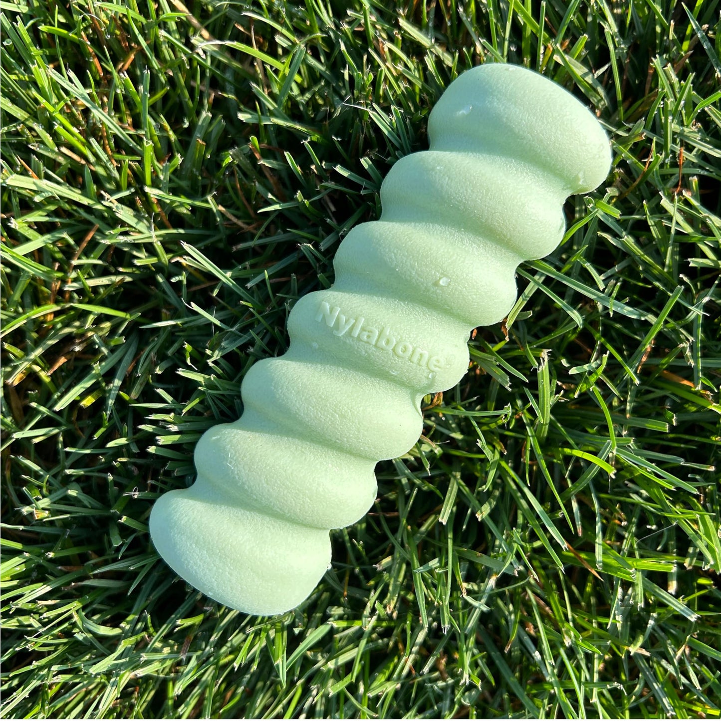 Juguete Sensory de Masticar Nylabone Mantequilla de Maní para Cachorros