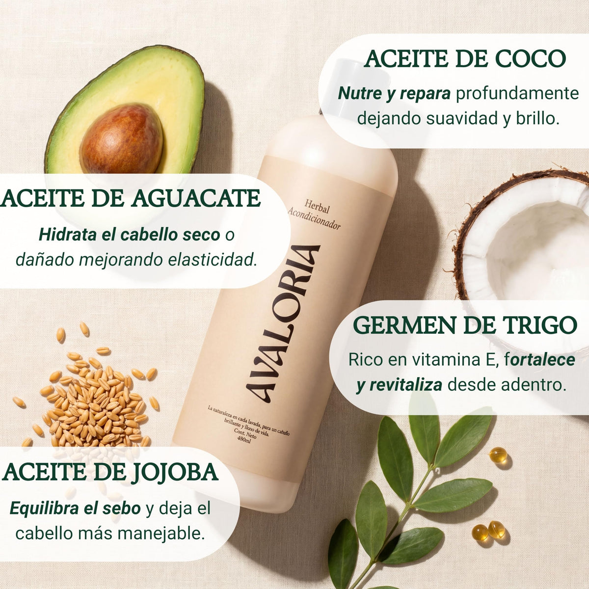 Avaloria Acondicionador Sin Sulfatos, Parabenos ni Sales – Anticaída con Romero – Extracto 100% Natural con 10 Hierbas – Hidratación, Brillo y Crecimiento – Herbal - 480 ml