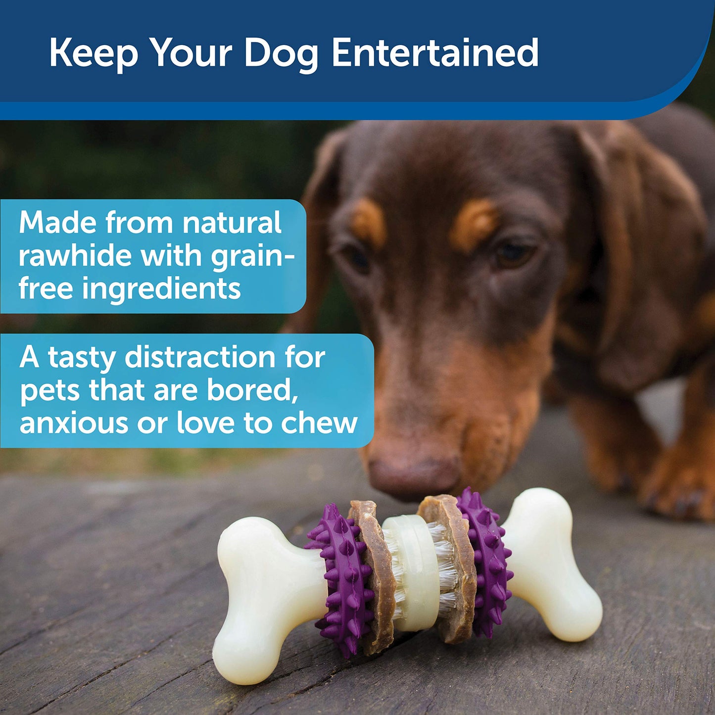 PetSafe Busy Buddy Bristle Bone Juguete para Perro, Extra pequeño