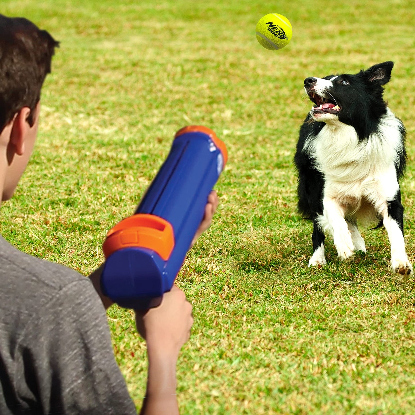 Nerf Dog Blaster de 30,5 cm sin Clip de Bola 3 Pelotas de Tenis de 5 cm – Azul Opaco, Naranja/Gris y Naranja, Azul y Verde