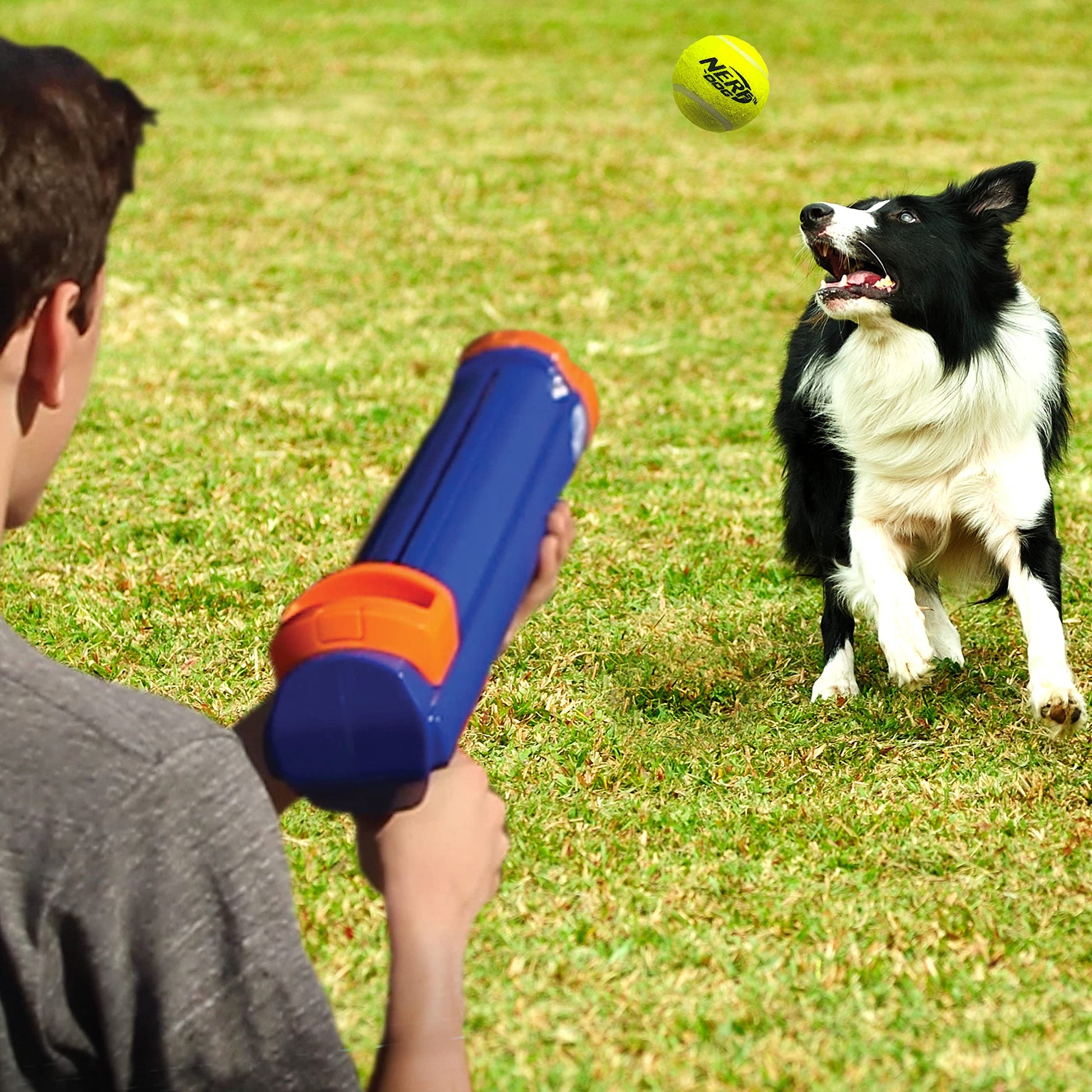 Nerf Dog Blaster de 30,5 cm sin Clip de Bola 3 Pelotas de Tenis de 5 cm – Azul Opaco, Naranja/Gris y Naranja, Azul y Verde