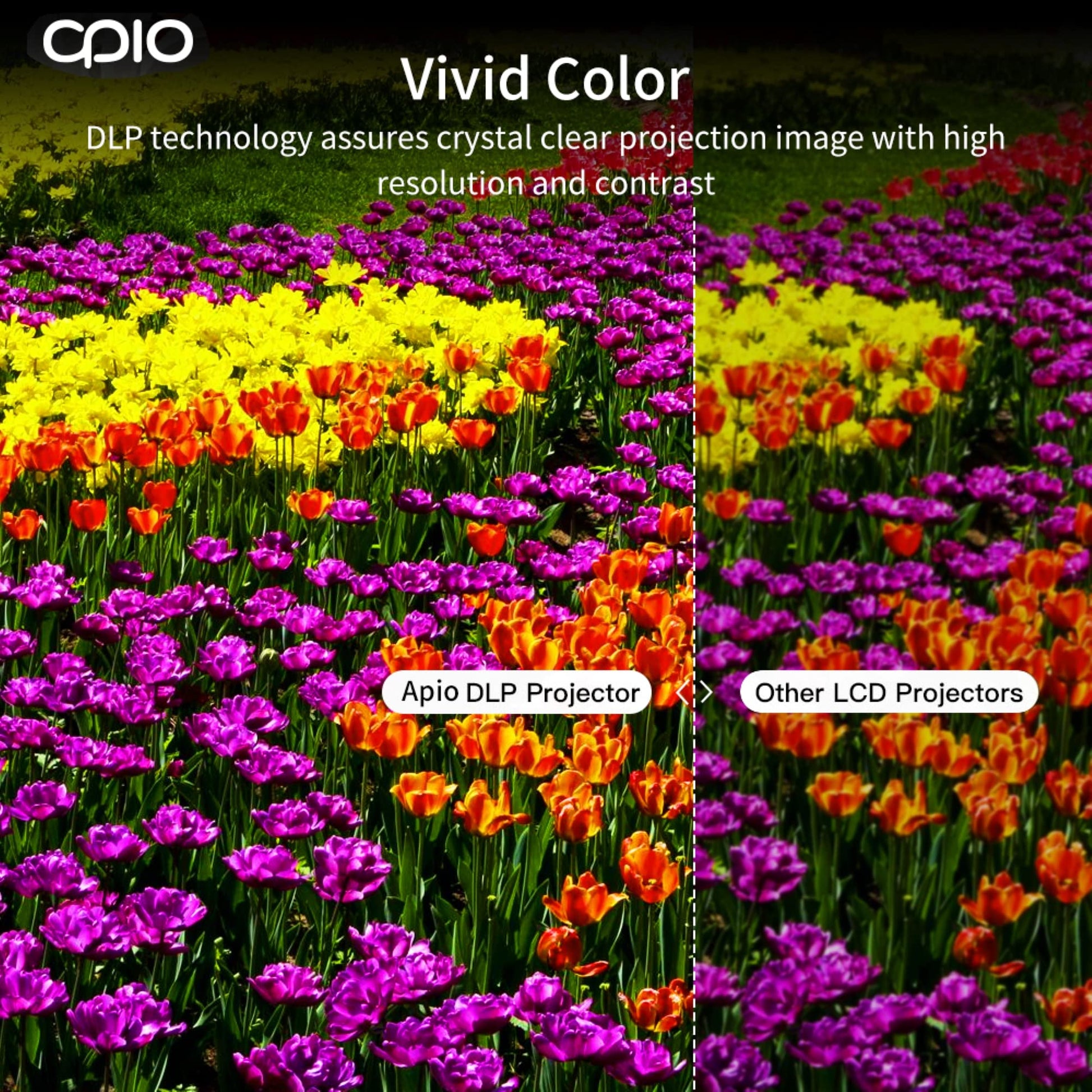 Mini Proyector de Bolsillo APIO Blanco de 100 Pulgadas con Imagen Clara para Hogar y Exteriores