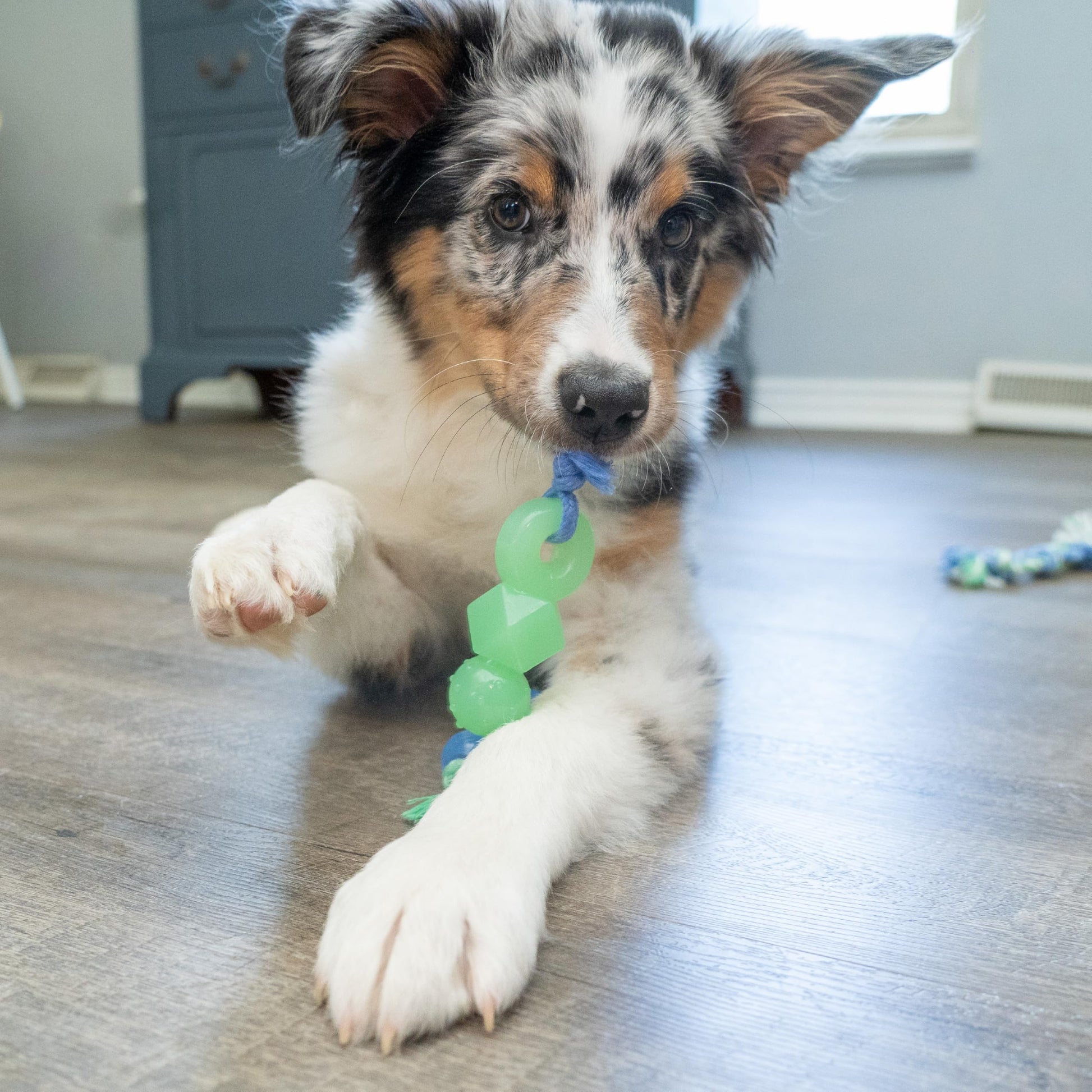 Juguete Masticable Petstages Mini Gran Tamaño para Perros Pequeños y Cachorros