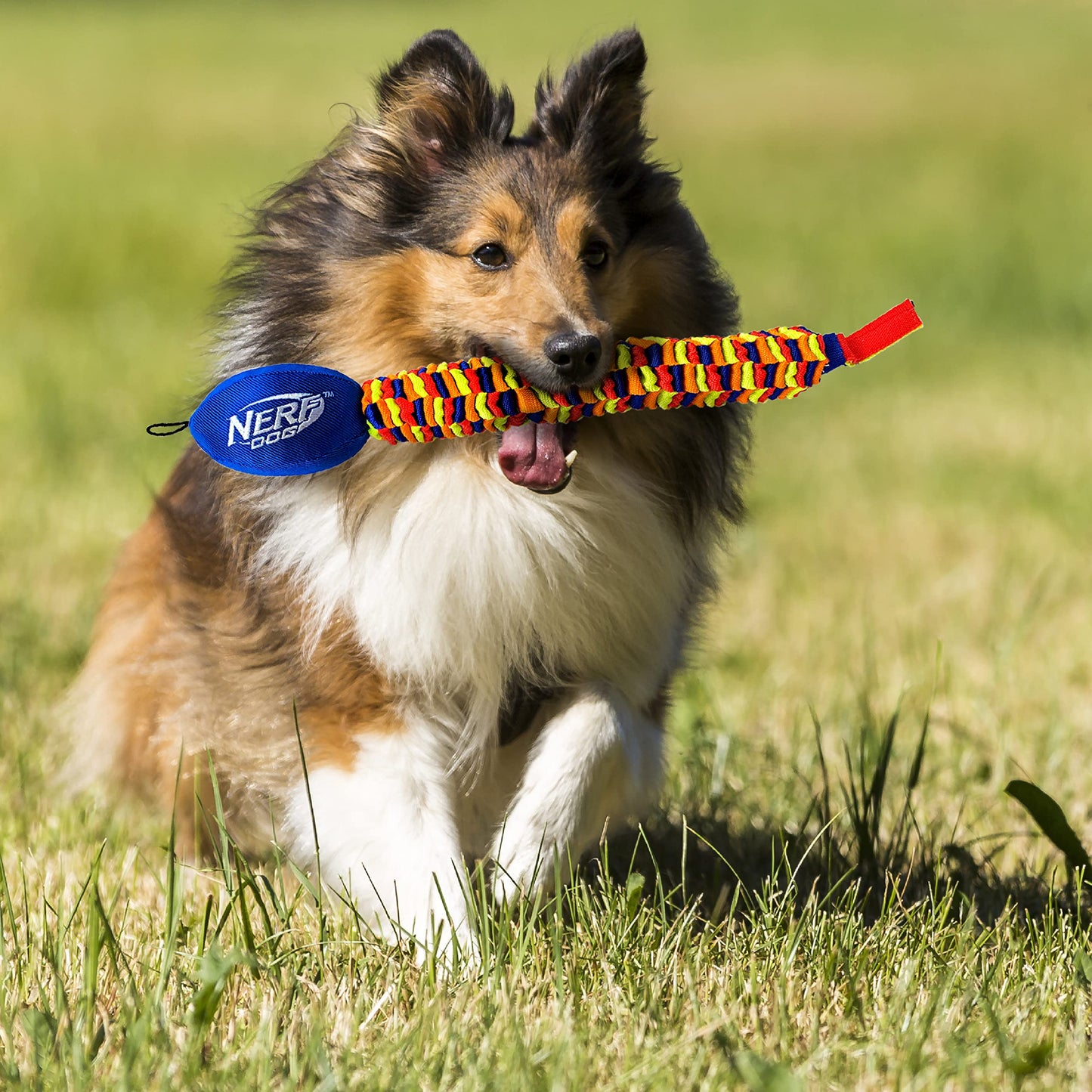 Cadena para Remolque Nerf Dog Azul Verde Naranja Rojo con Vortex Arco Iris