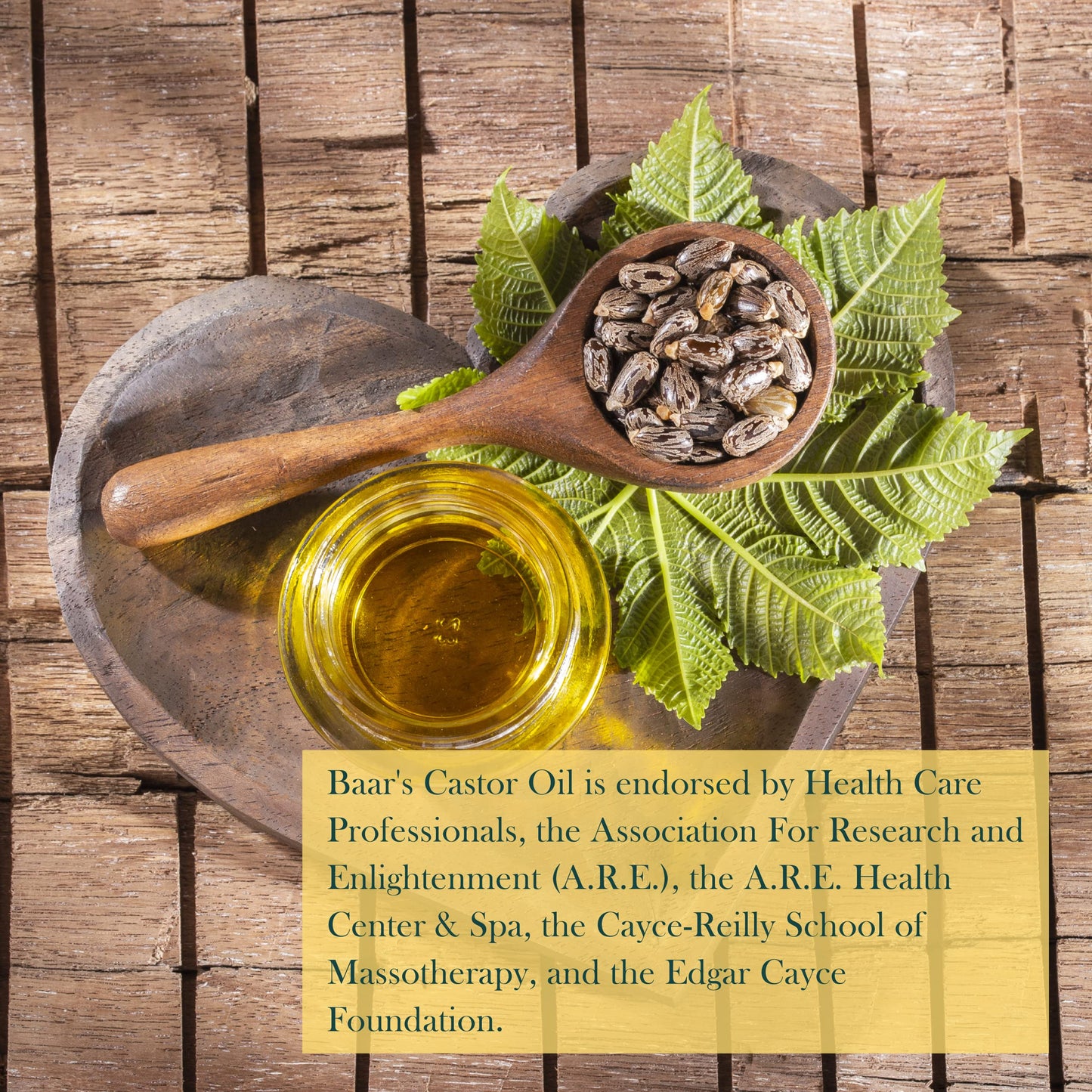 Baar Aceite de ricino orgánico, 100% puro, prensado en frío, sin hexanos, aceite de ricino orgánico para cabello, pestañas, cejas, paquetes, piel, eliminaciones y muchos más. Exclusivo Palma Christos marca, 3.78 L