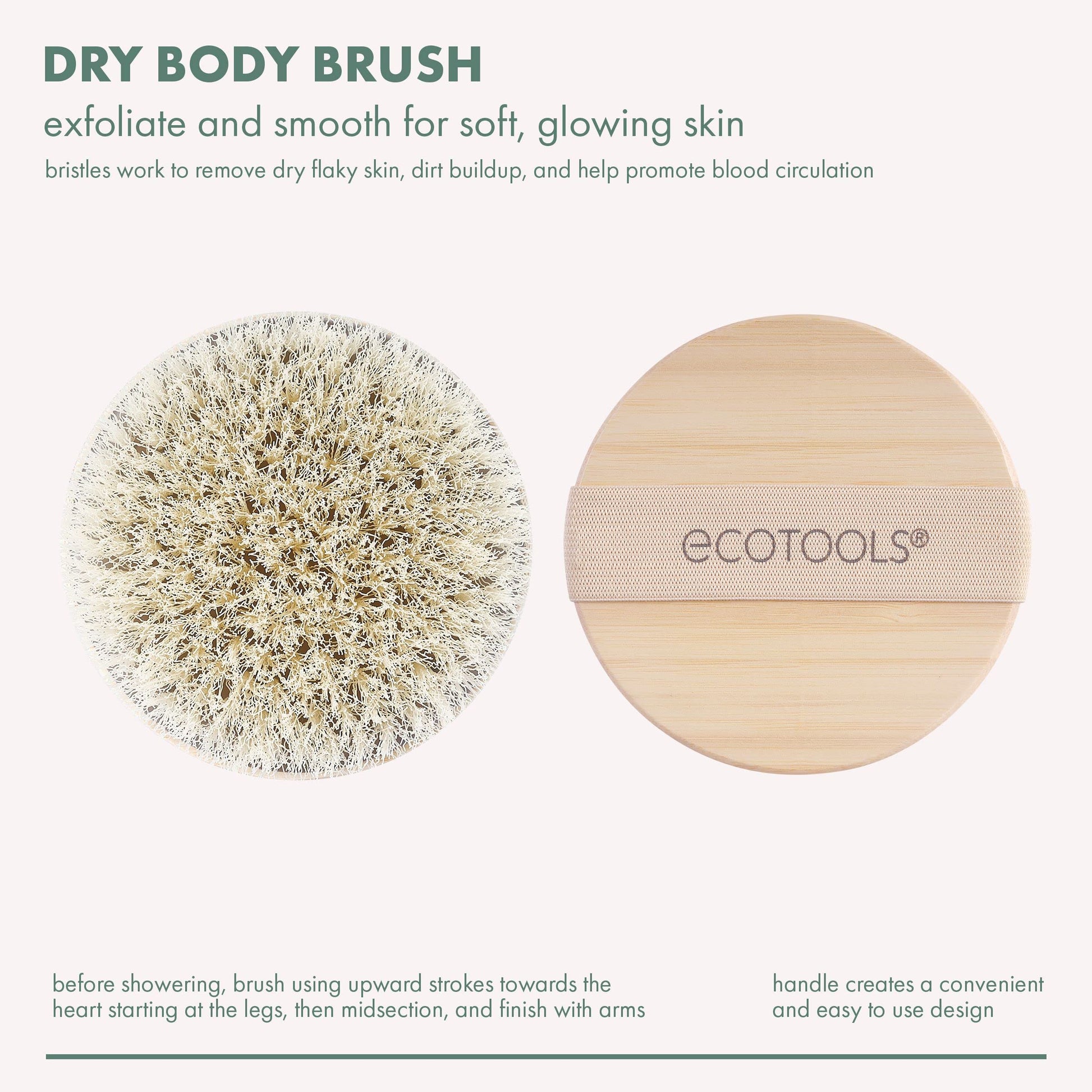 EcoTools Ecotools - Cepillo seco