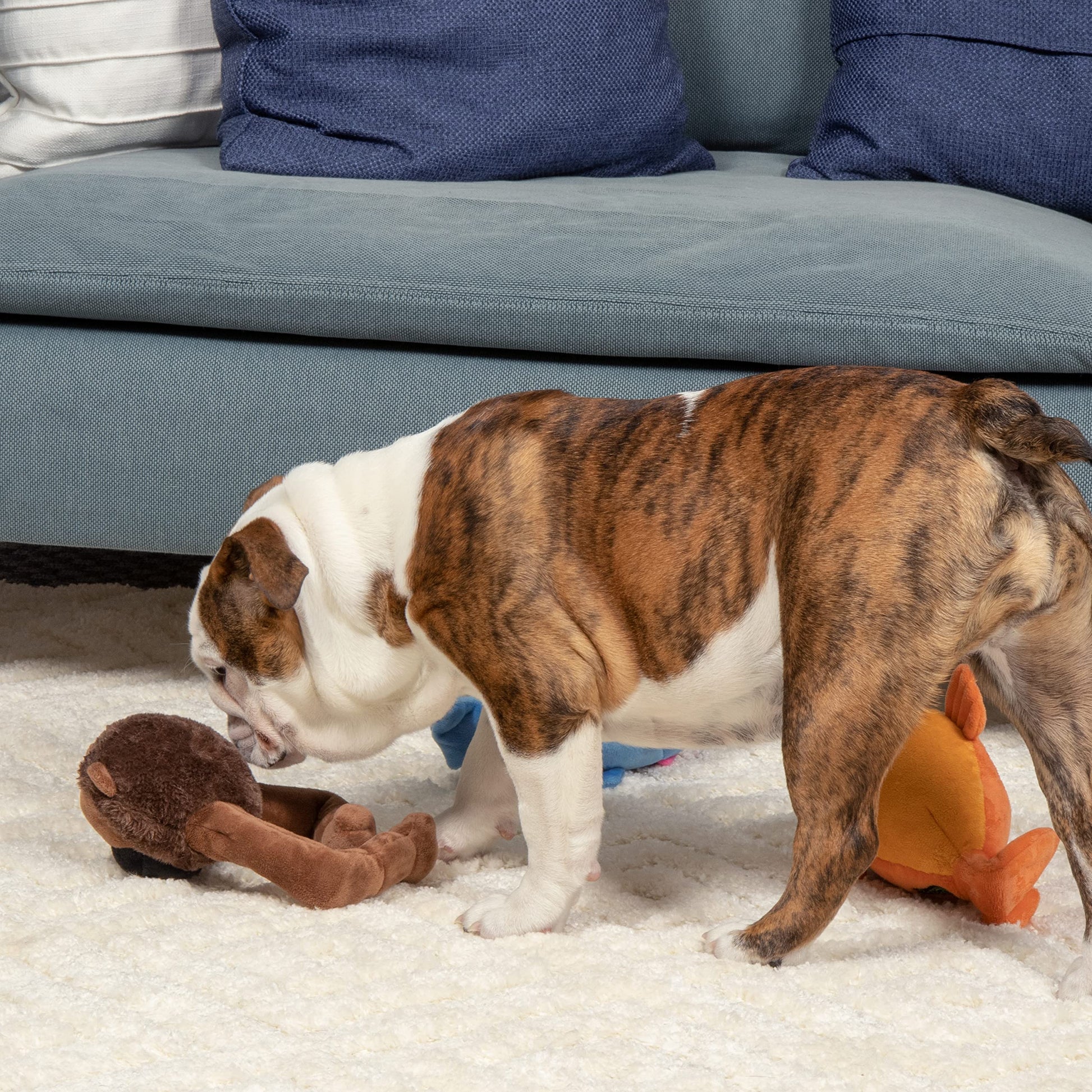 goDog Action Plush Ape - Juguete Animado para Perro chirriante, tecnología de protección para Masticar, Color marrón, Talla única
