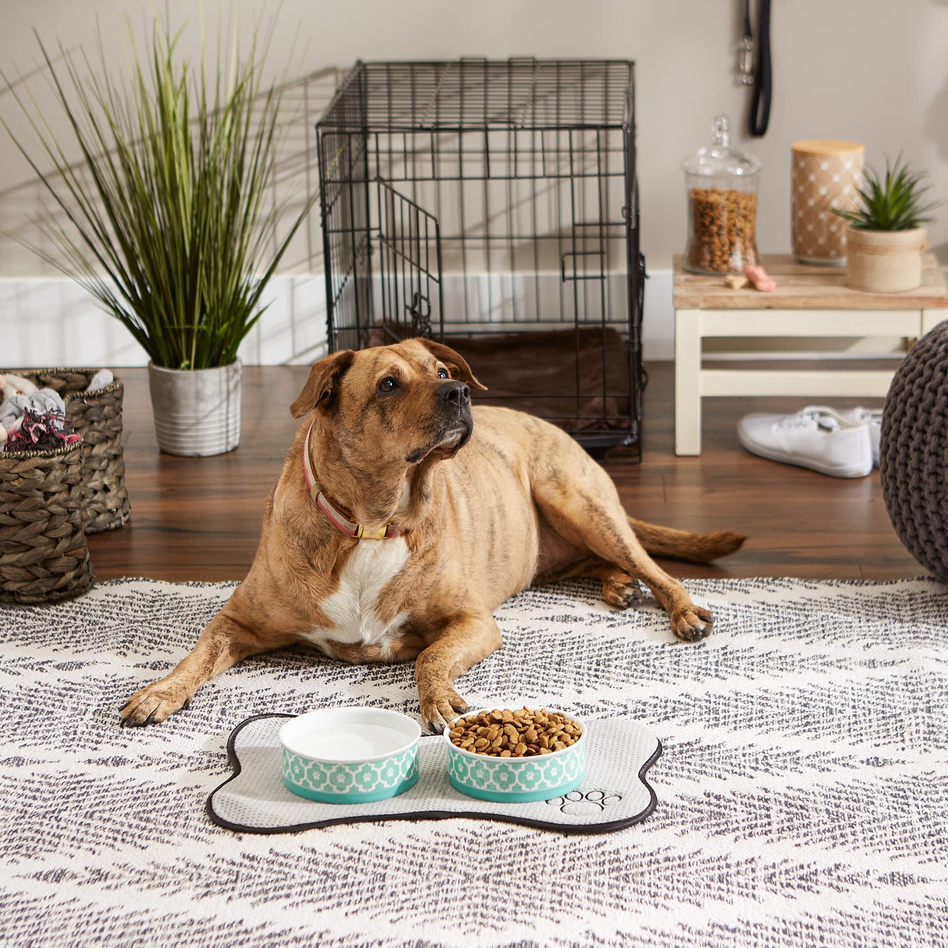 Bone Dry Lattice Collection - Cuenco y Recipiente para Mascotas, Juego Mediano, 6 x 2 Pulgadas, Aguamarina, 2 Piezas