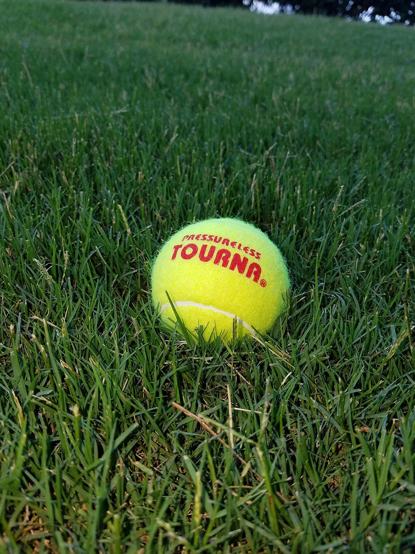 Pelotas de Tenis Tourna sin presión Caja 144 Unidades