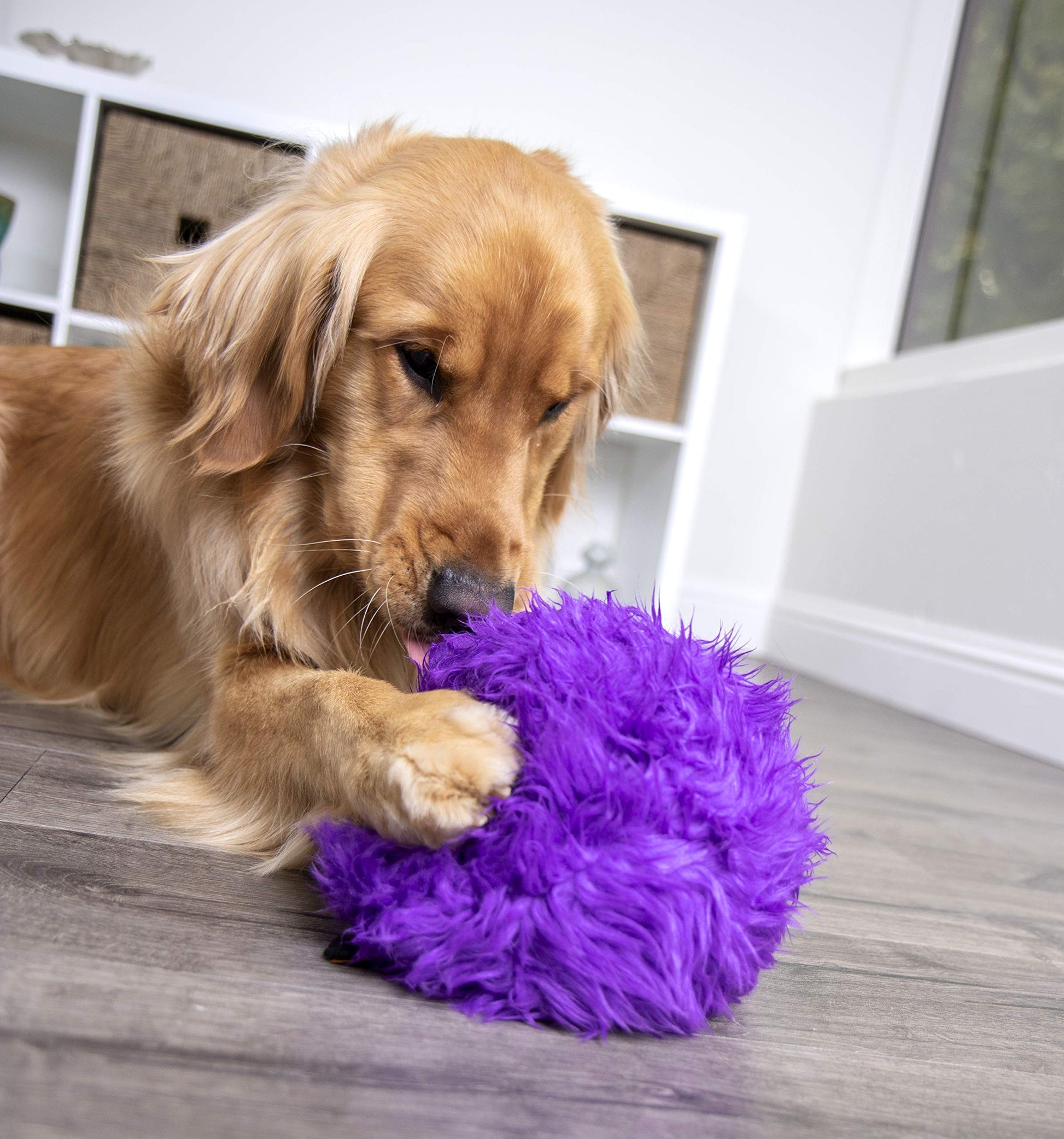 goDog Furballz Squeaky Pelota de Peluche para Perro, Tecnología Chew Guard - Morado, L
