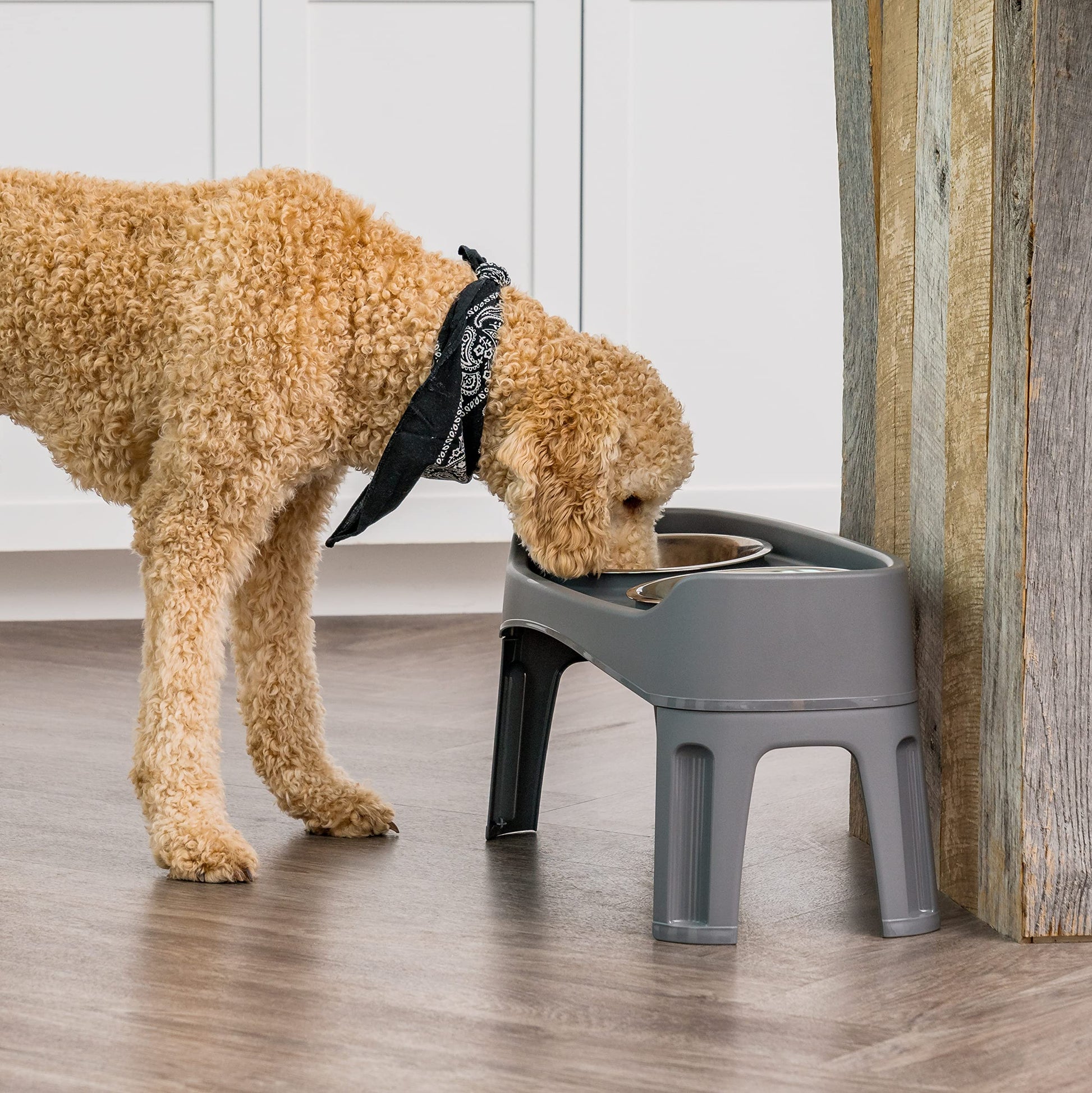 IRIS USA Comederos Elevados para Perros con 2 Cuencos de Acero Inoxidable de 1.9 L, Altura de 30.5 cm, Gris Oscuro