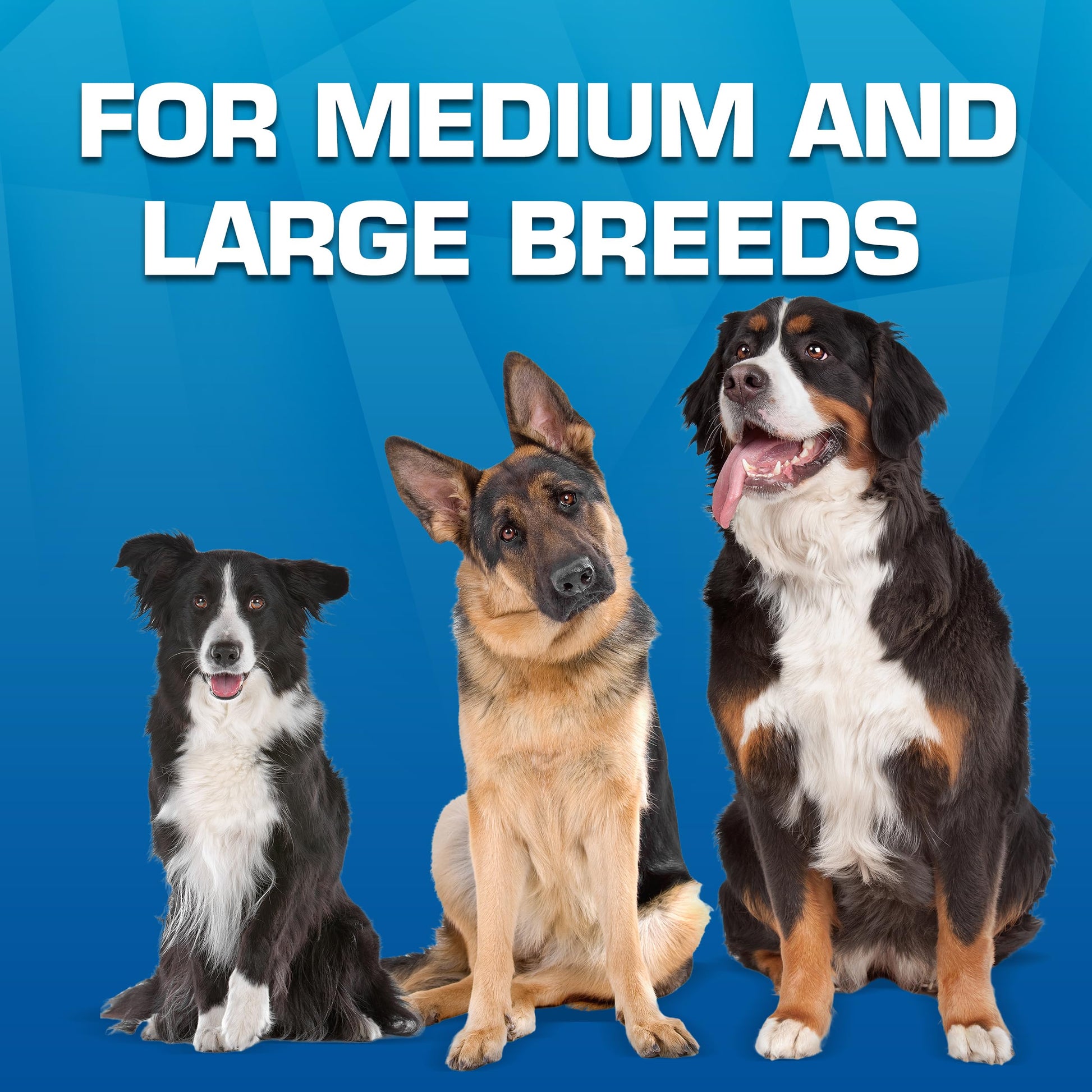 Juguete Interactivo de Nailon Nerf Dog Verde para Lanzamiento Grande