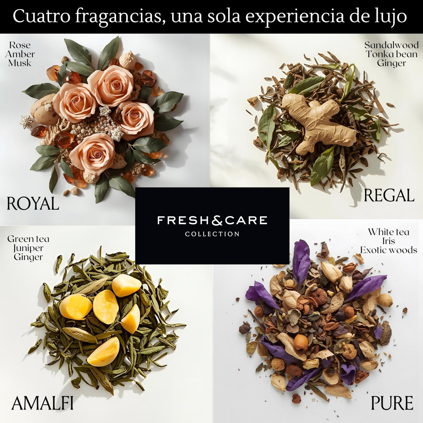 FRESH & CARE COLLECTION | Kit de Amenidades Hoteleras – Velvet Rose & Amber – Set de Jabón y Crema para Hoteles, Airbnb y Spa. 355ml
