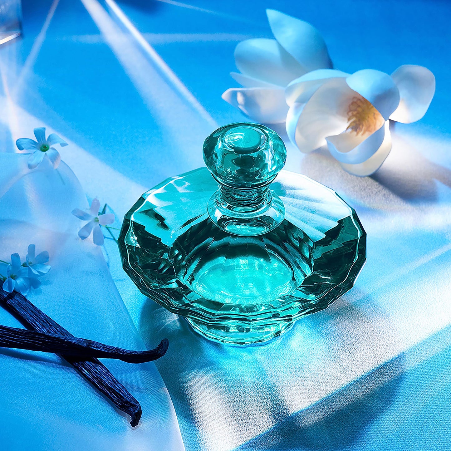 Curious por Britney Spears para mujer Eau de Parfum Spray, Blanco, 3.3 oz (97.59 ml)
