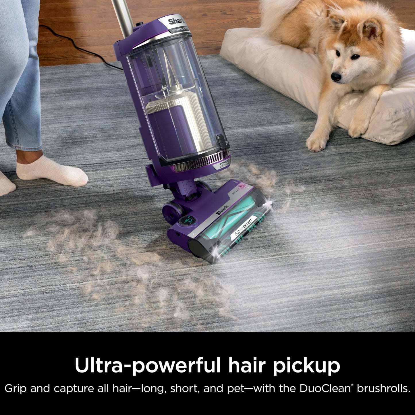 Shark POWERDETECT - Aspiradora Vertical con Filtro HEPA, aspiradora Resistente con Potente succión para Recogida de Pelo de Mascotas, tecnología DuoClean, Elevador motorizado, Ideal para alfombras y