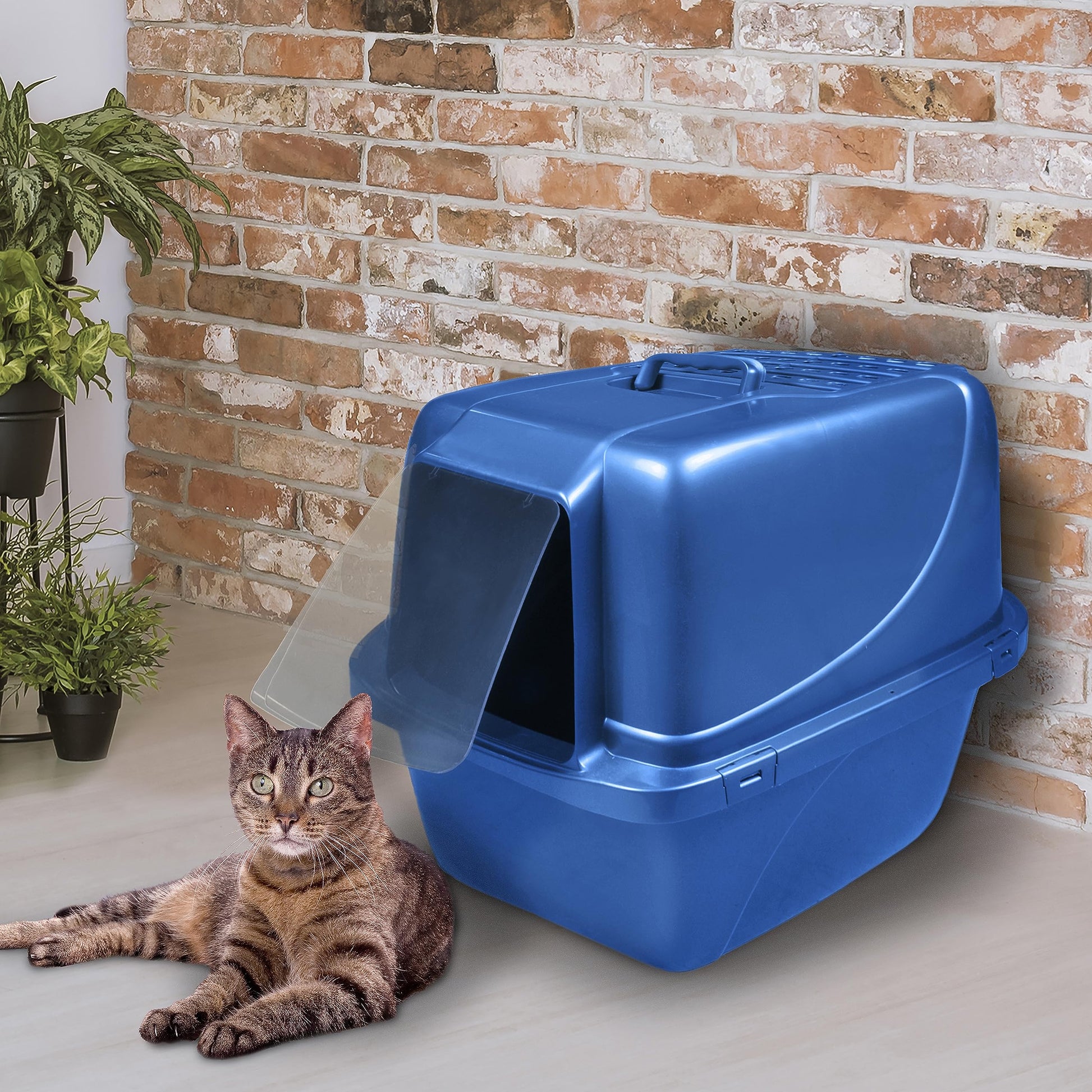 Caja de Arena Van Ness Gris con Capucha para Gato