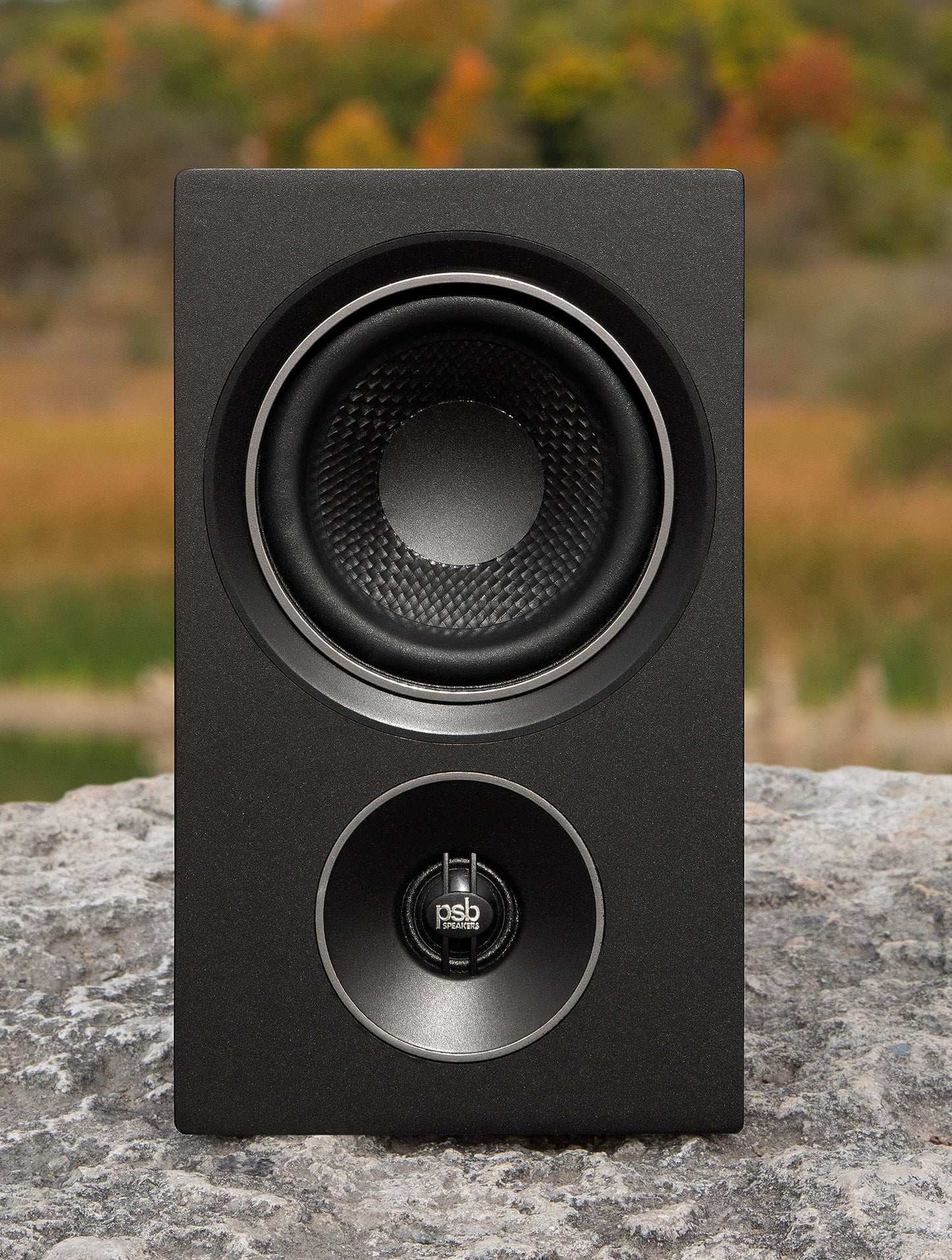 Sistema de Altavoces Tipo Monitor PSB Alpha P3 Negro Ceniza