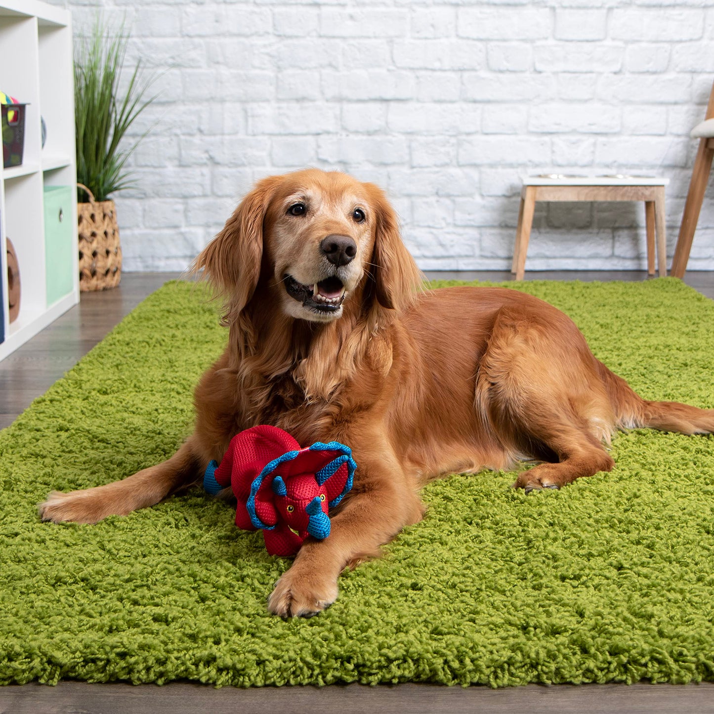 goDog - Juguete de Malla con Volantes y Volantes para Perros de Doble masticación, Color Rojo, pequeño