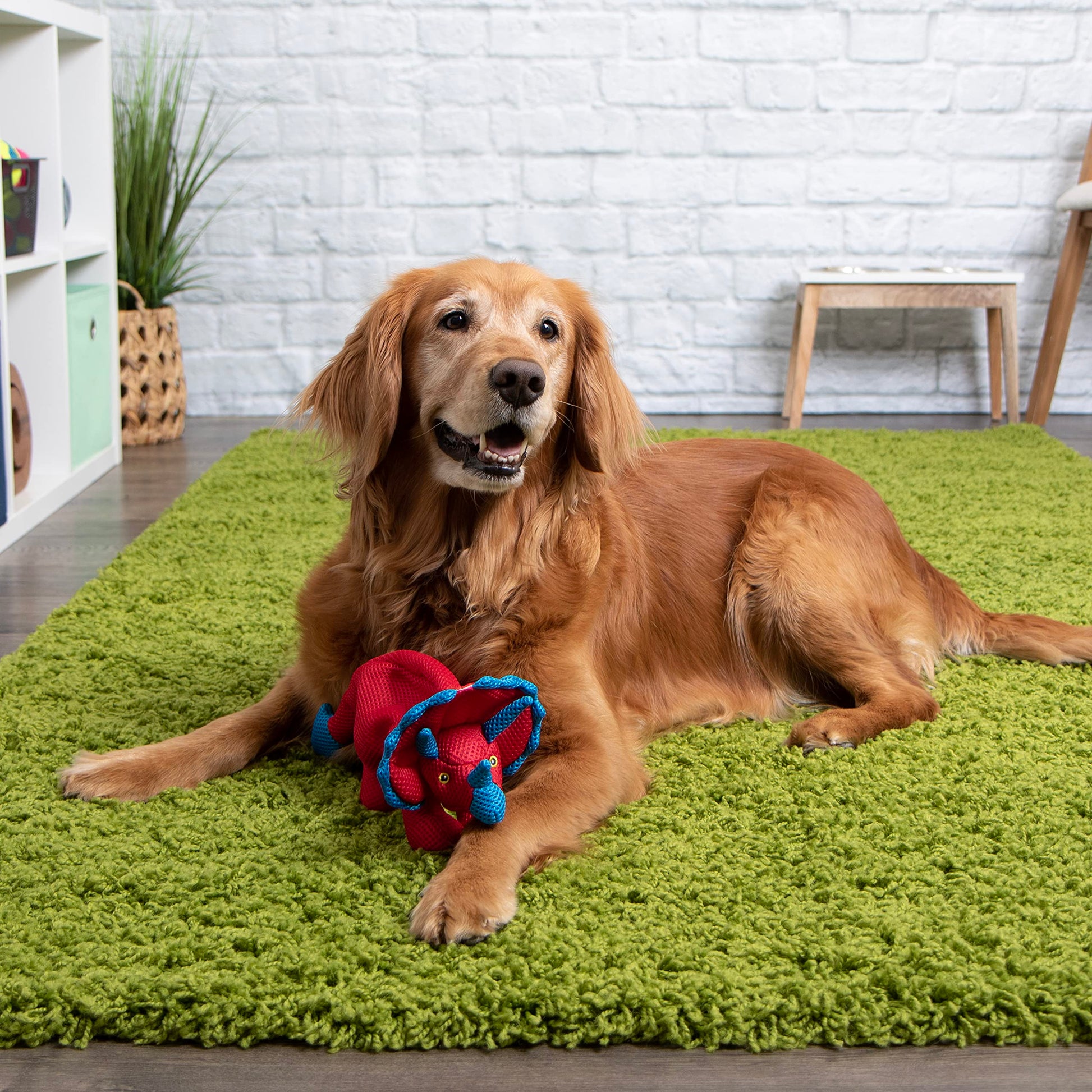 goDog - Juguete de Malla con Volantes y Volantes para Perros de Doble masticación, Color Rojo, pequeño
