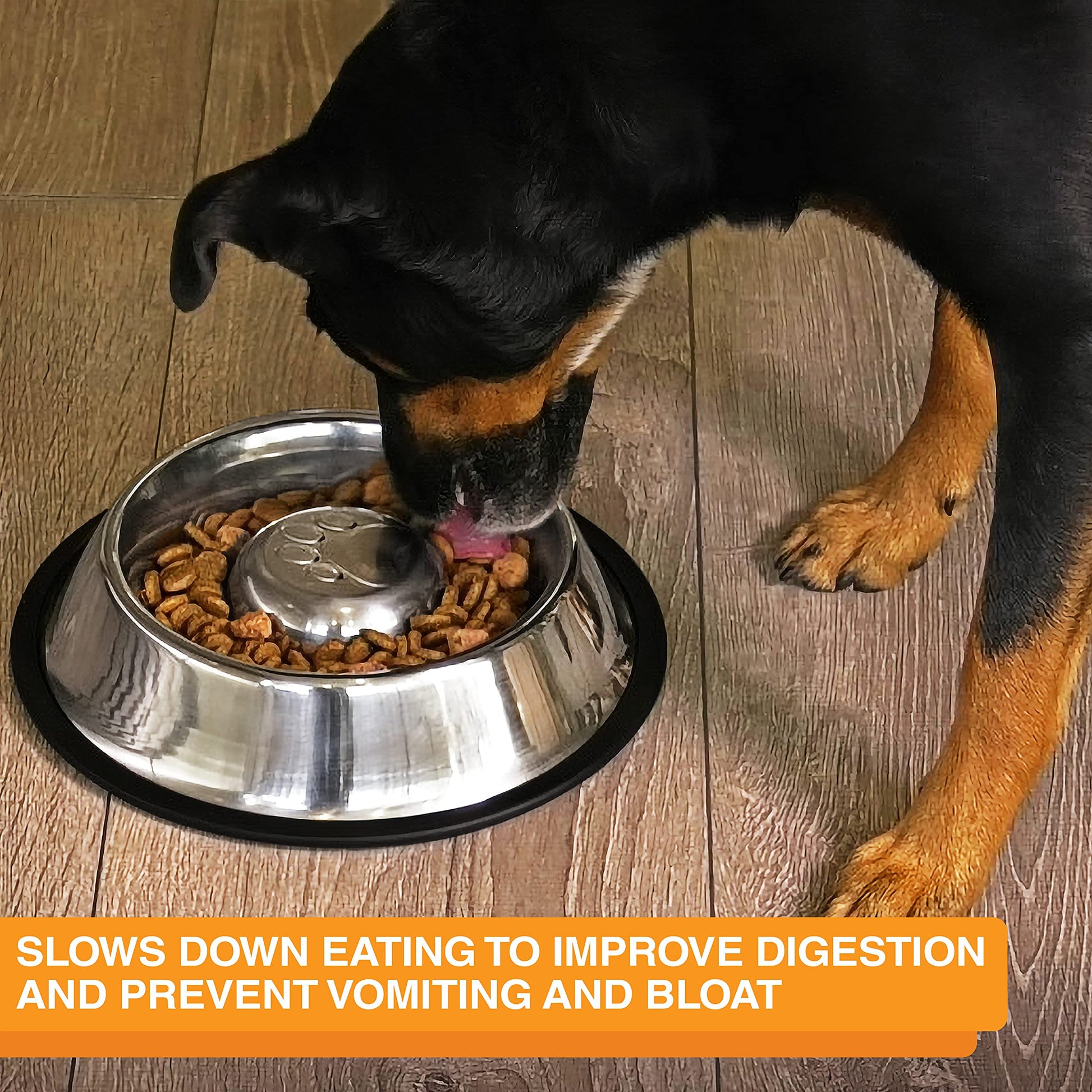 Cuenco de Alimentación Lenta Neater Pet Brands Acero Inoxidable Antideslizante Mediano 2 Tazas para Perros