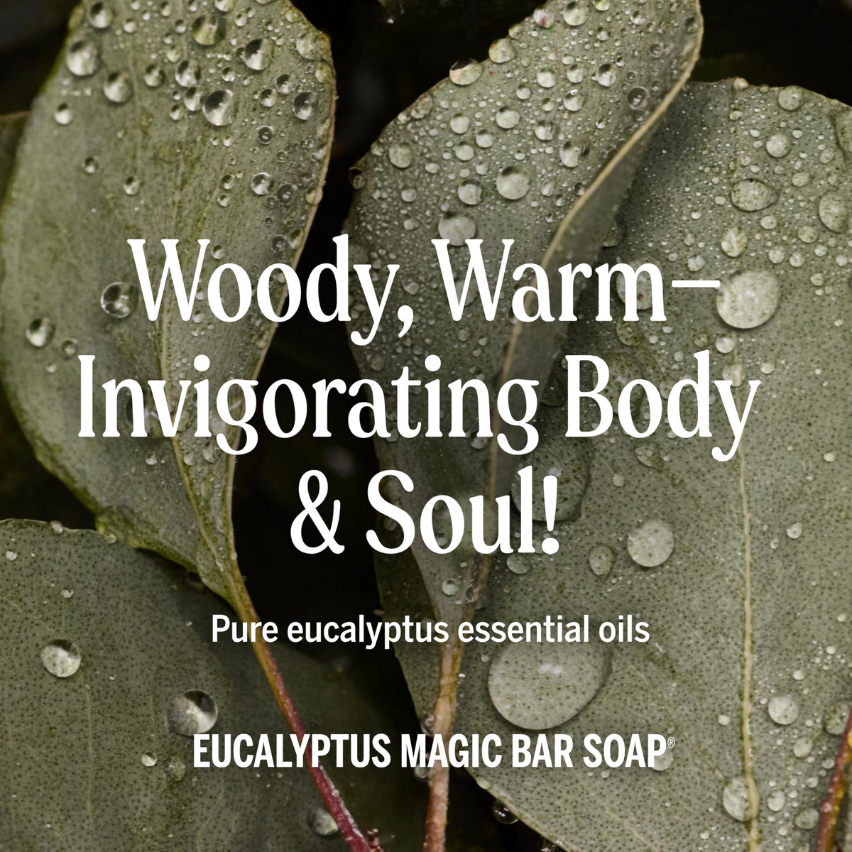 Dr. Bronner's | Jabón de castilla orgánico en barra, fórmula concentrada, frescura herbal y respiración clara, con aceite esencial de Eucalipto, aroma Eucalipto (6 pack)