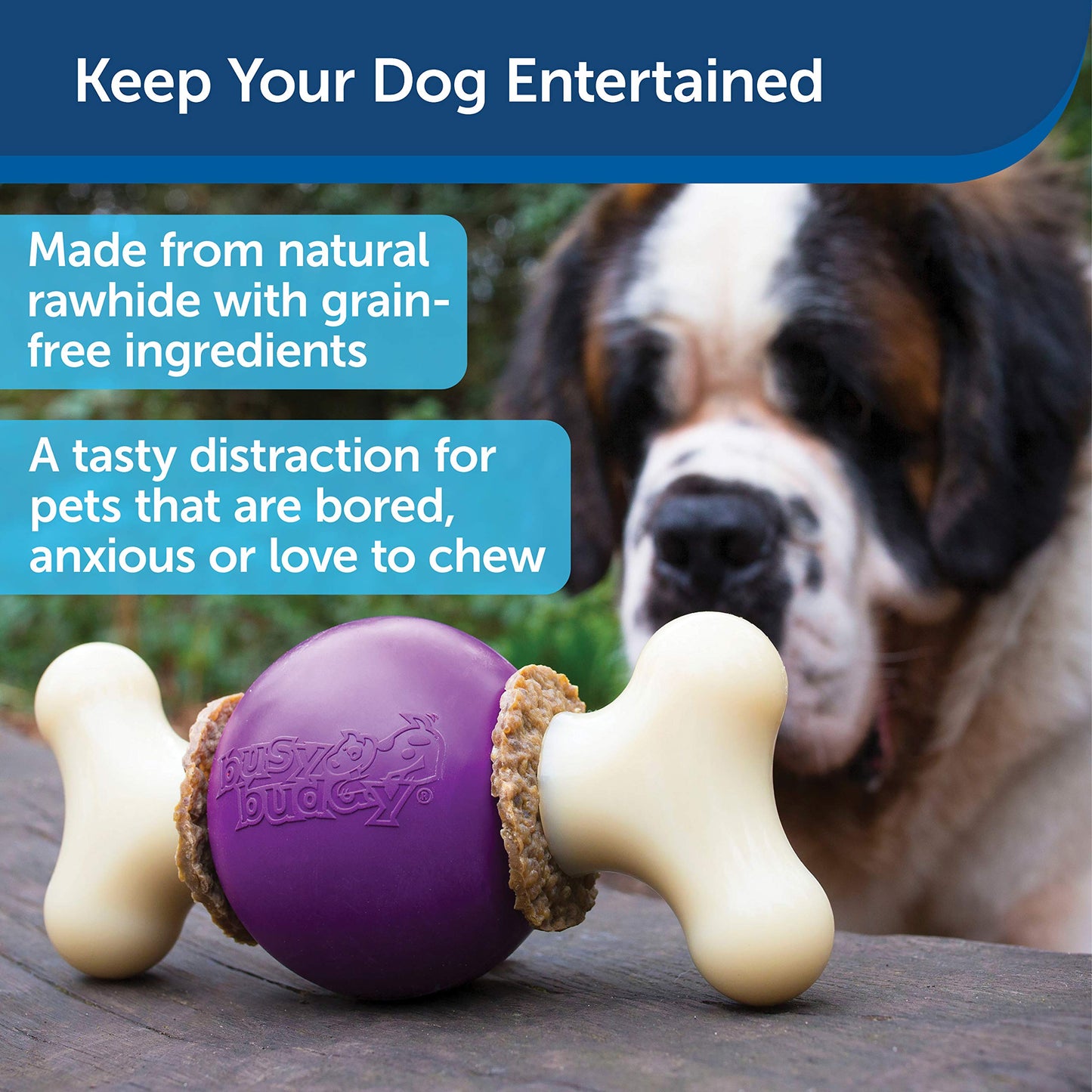 Juguete para Masticar PetSafe Busy Buddy en Azul para Perro Grande, Mediano y Pequeño
