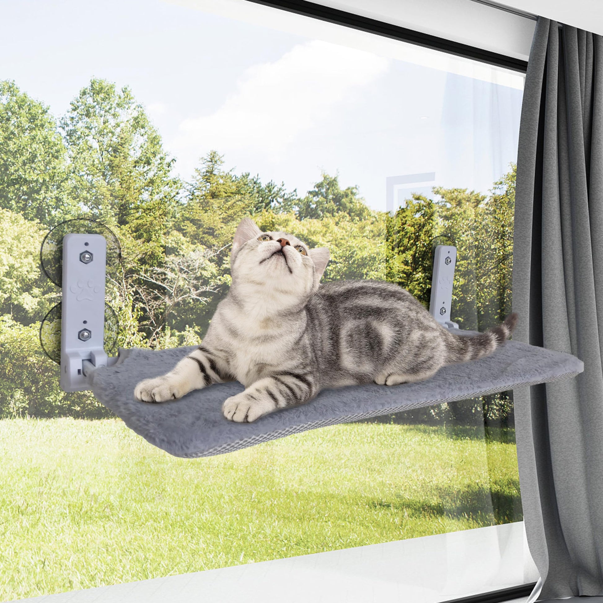 ASBAYSON - Hamaca sin cuerda para ventana para gato, se monta sin herramientas en 2 minutos, con 4 ventosas y marco resistente de setal, camas plegables para gatos de interior (gris)