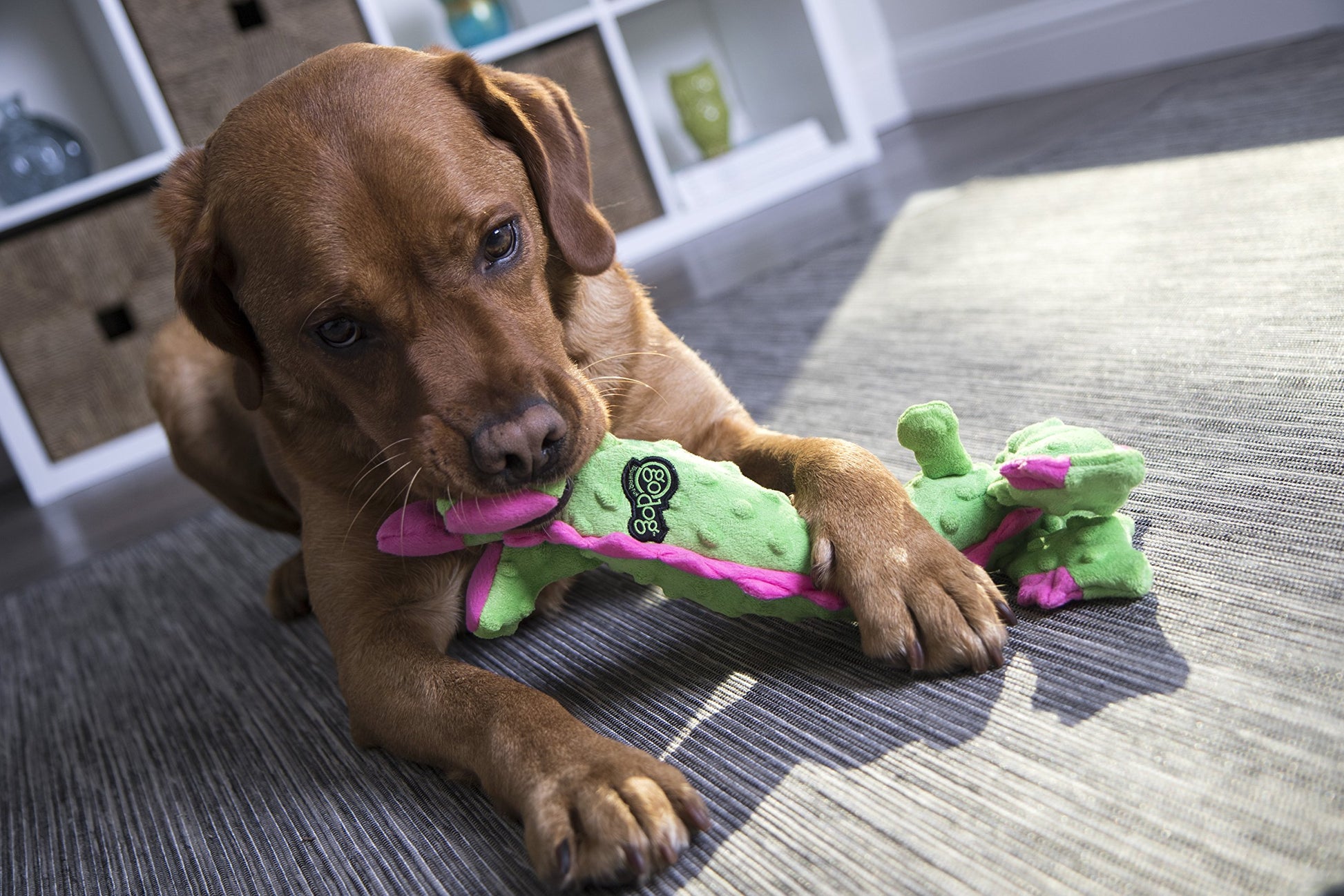 goDog Skinny Dragons Green Juguete Grande con Protector para Masticar (094407)