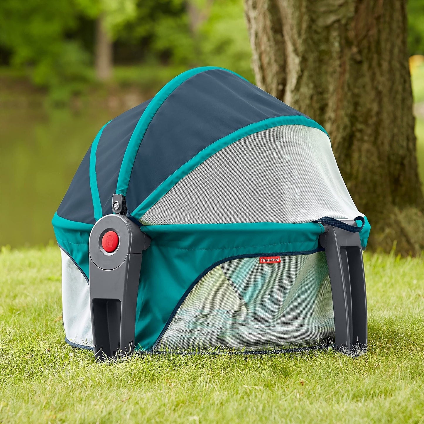 Fisher-Price Domo Portátil Para Bebé Silla para bebés en Etapa de Desarrollo