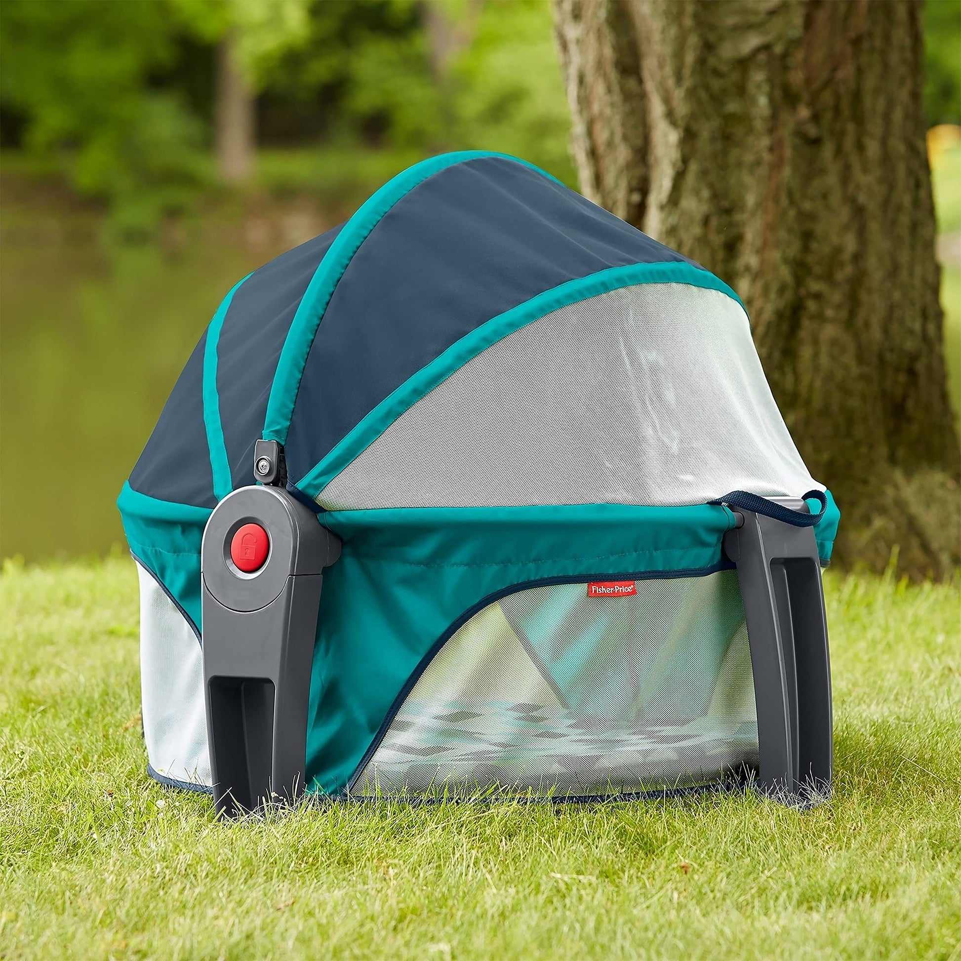 Fisher-Price Domo Portátil Para Bebé Silla para bebés en Etapa de Desarrollo